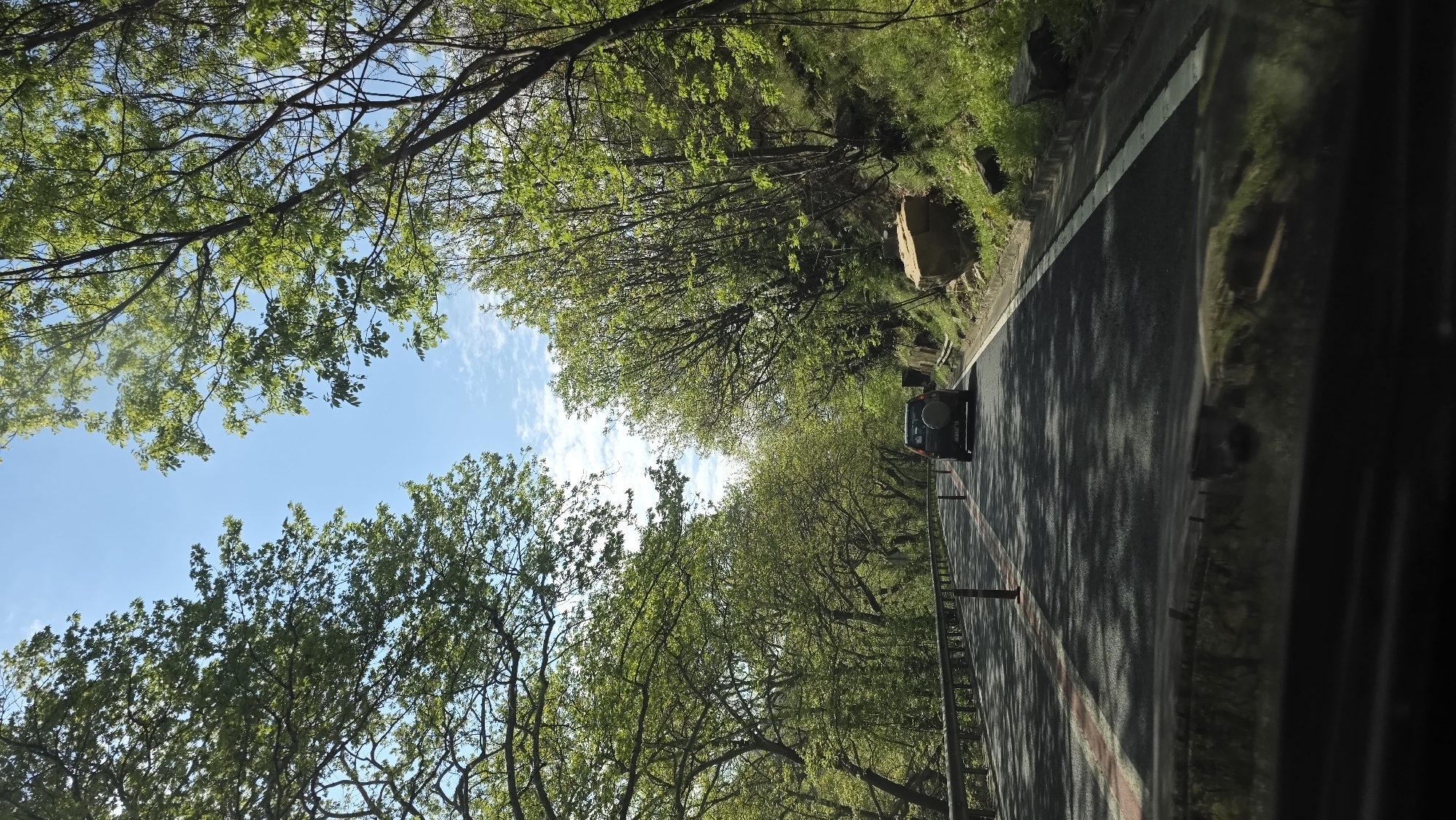 Vehicle passes through tree-canopied road in Stara Kresna, Bulgaria