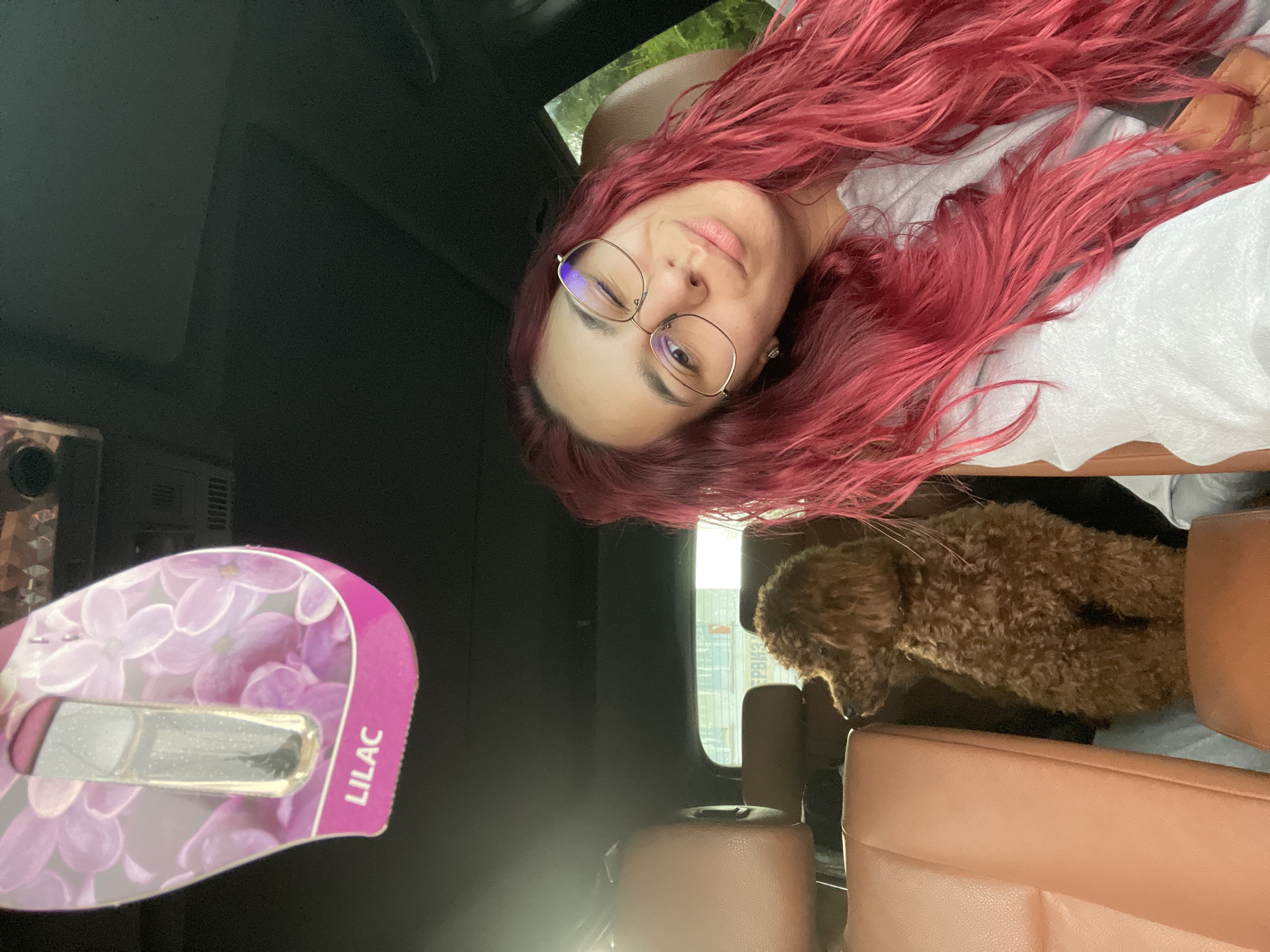 Woman and poodle captured in vehicle interior in Pleven