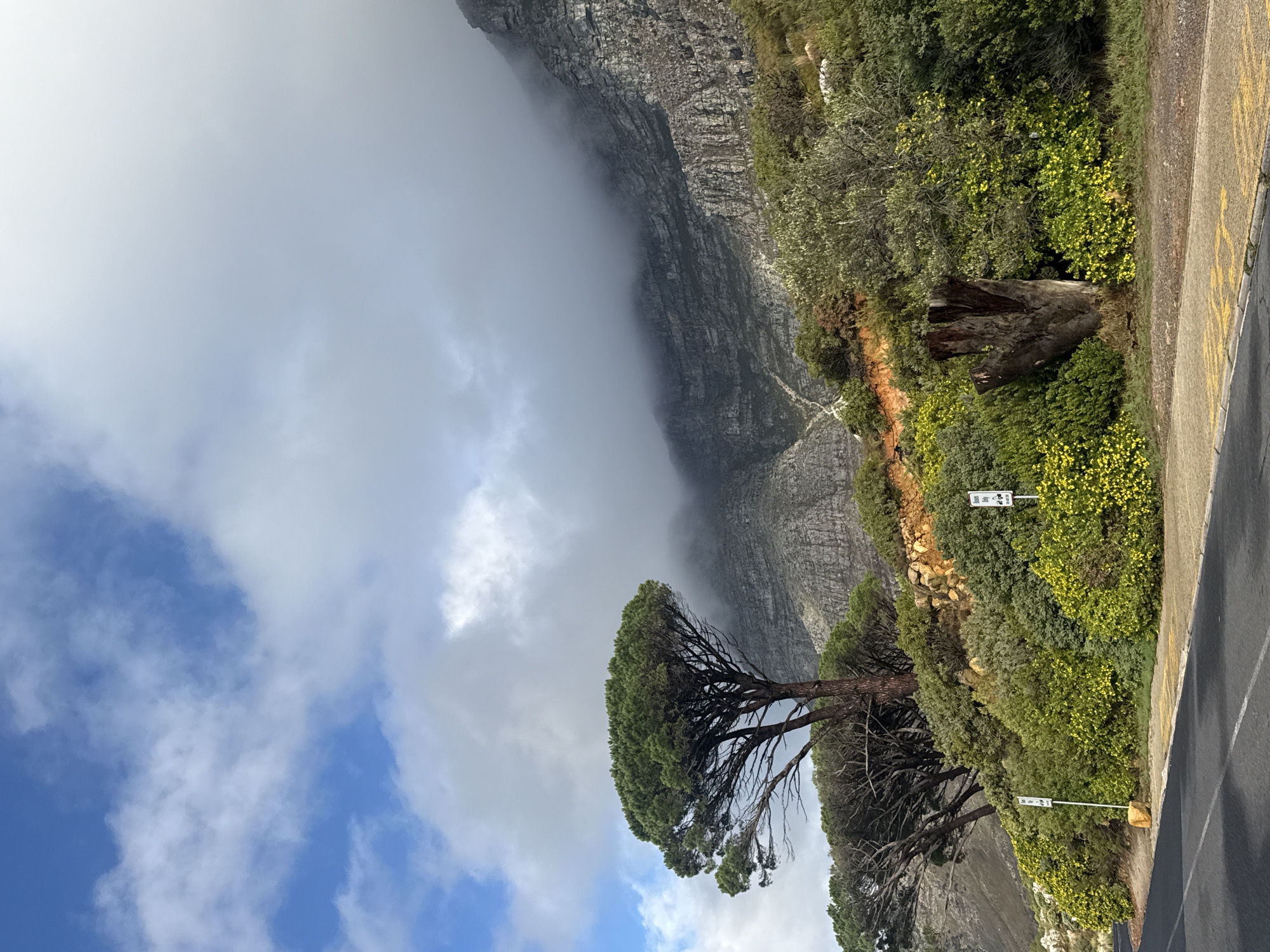 Table Mountain landscape documented in Cape Town afternoon