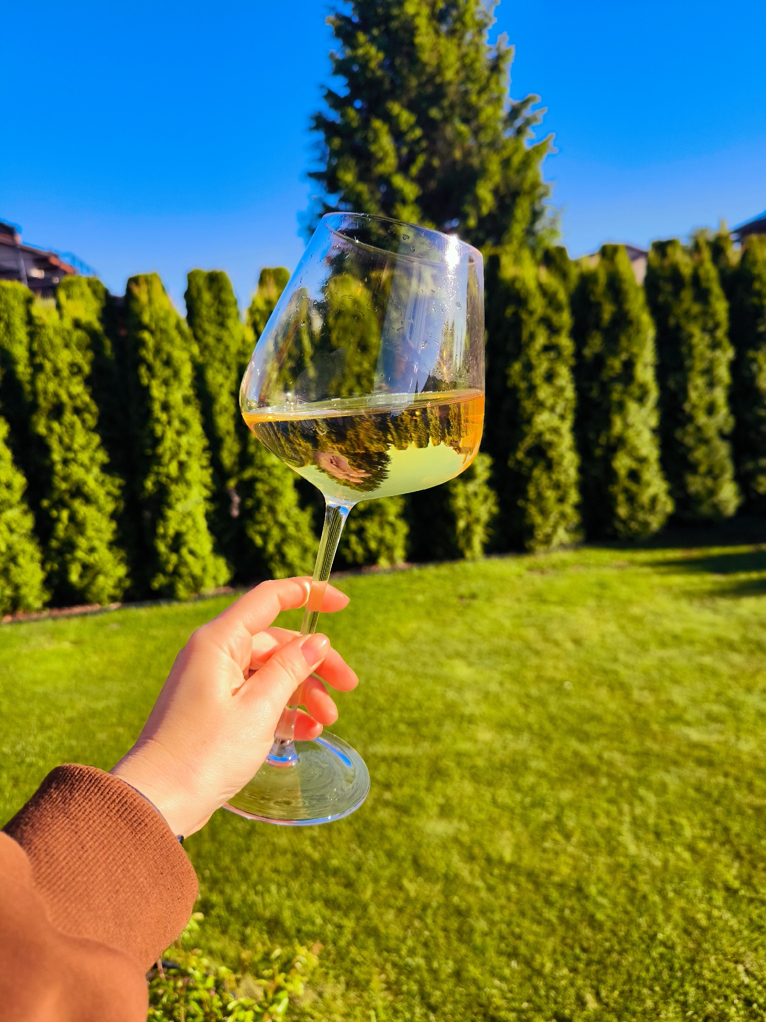 Woman enjoys afternoon wine break on manicured lawn