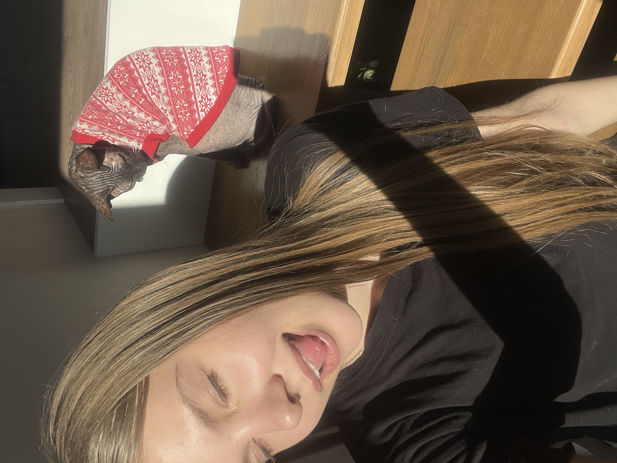 Votkinsk resident shares quiet moments with sweater-wearing Sphynx cat