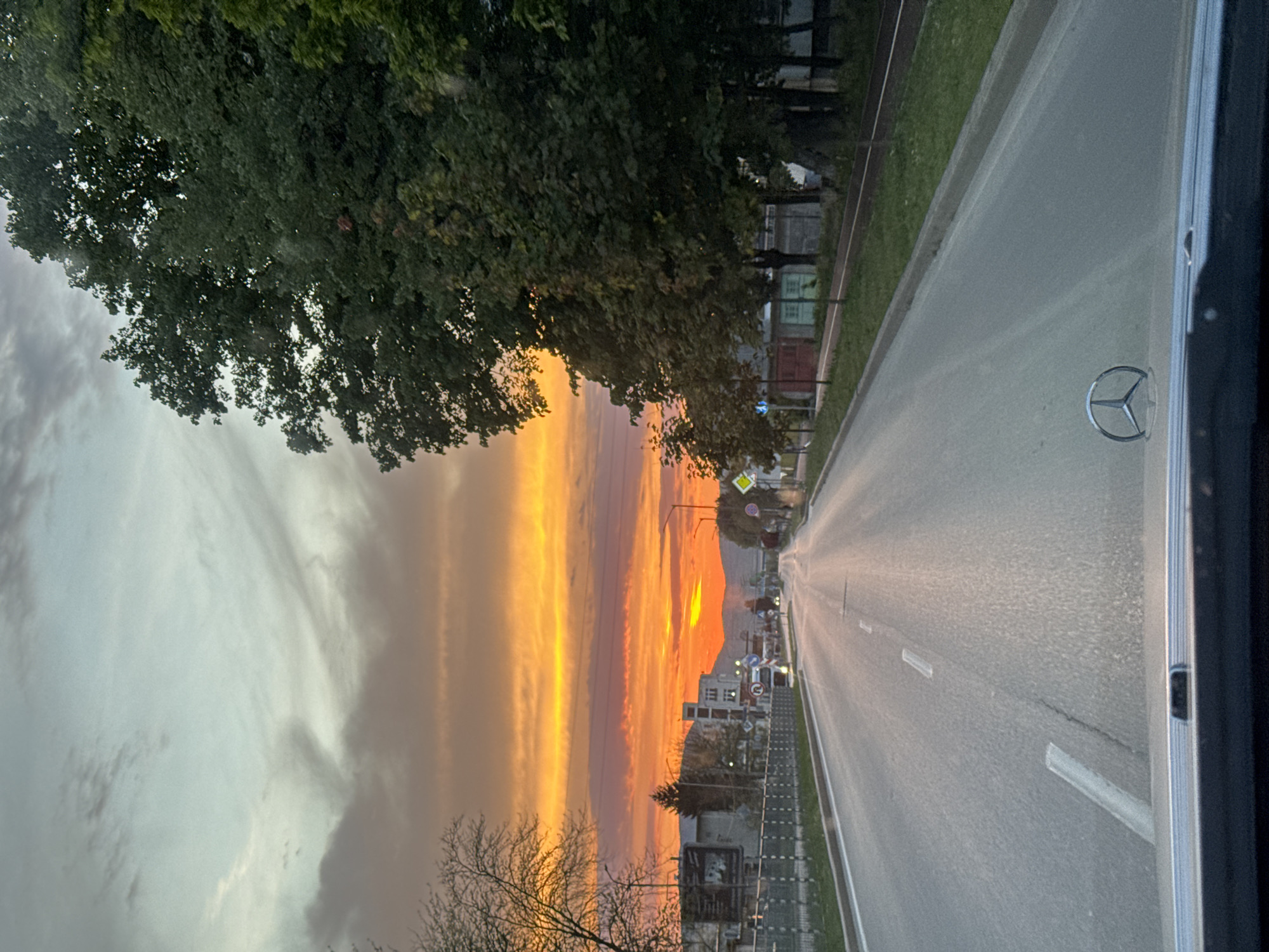 Sunset view captured on tree-lined road in Sevlievo, Bulgaria