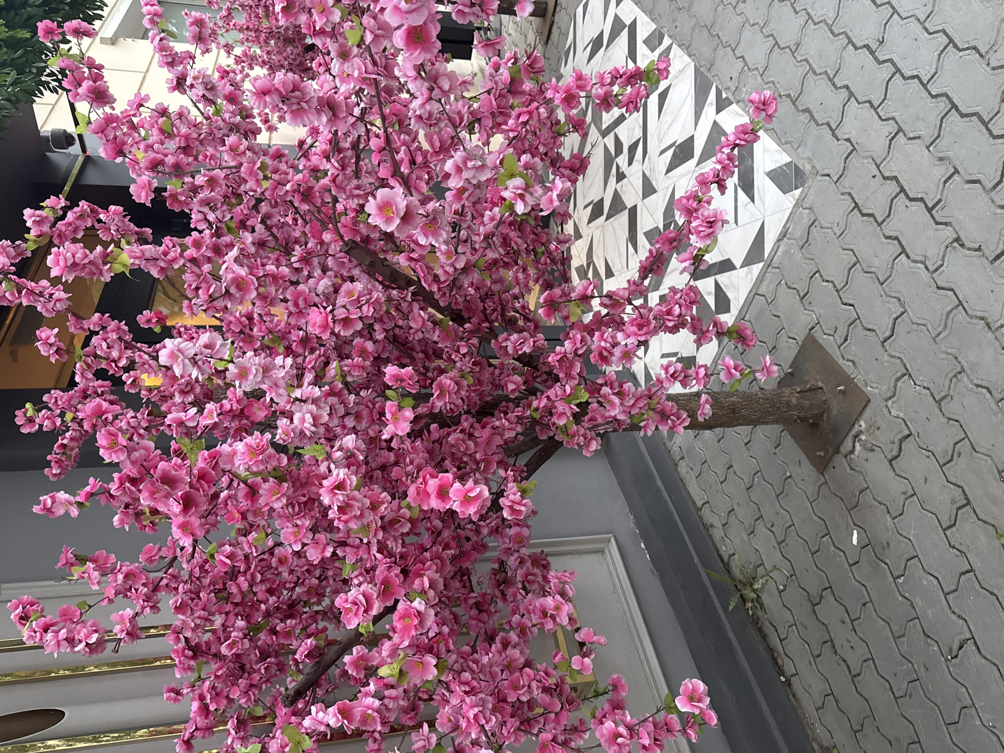 Khabarovsk street scenes documented including artificial cherry blossoms, crosswalk