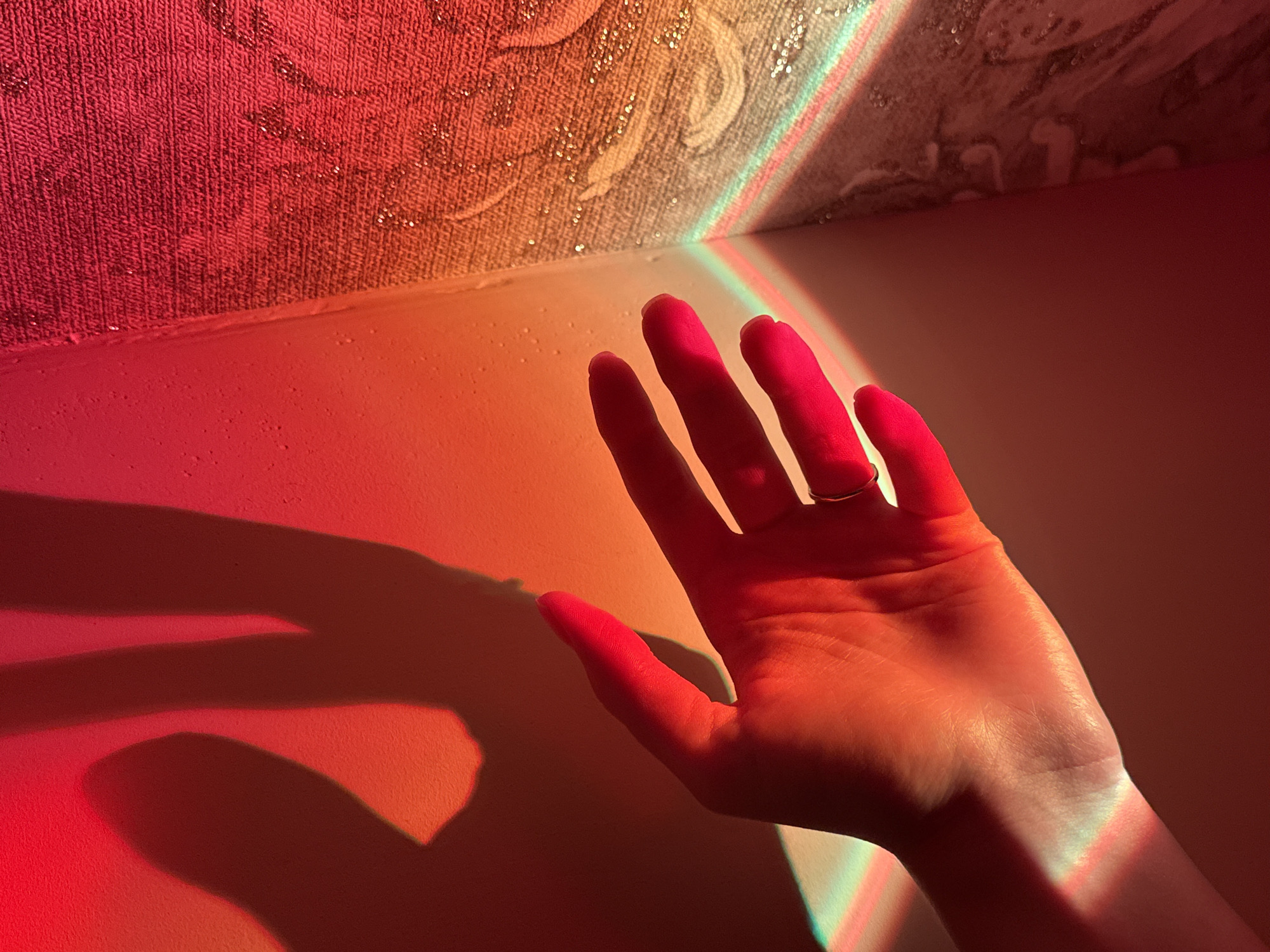 Ringed hand and red tulips in warm lamp light