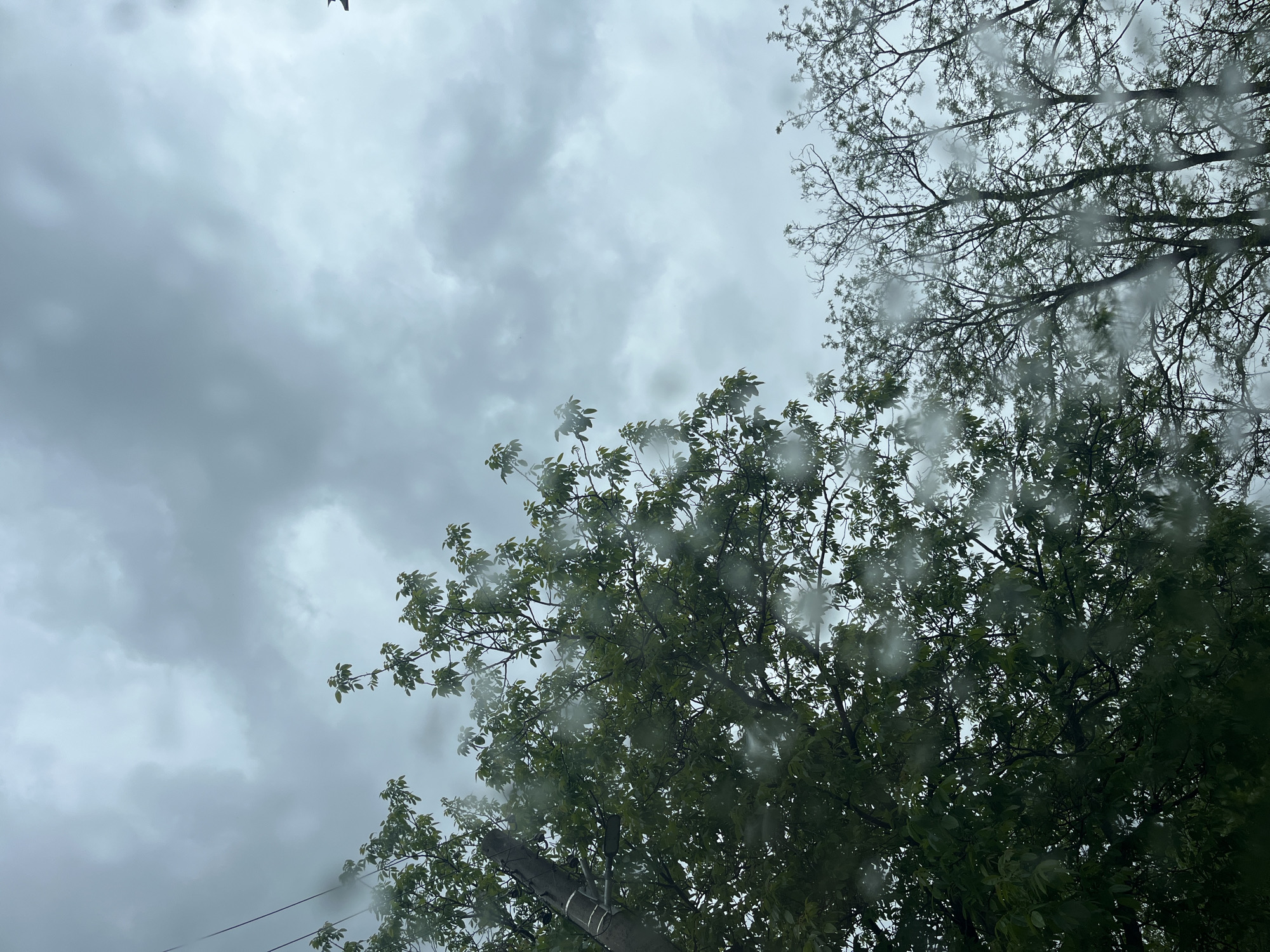 Rainy afternoon view captured through window in Saedinenie, Bulgaria