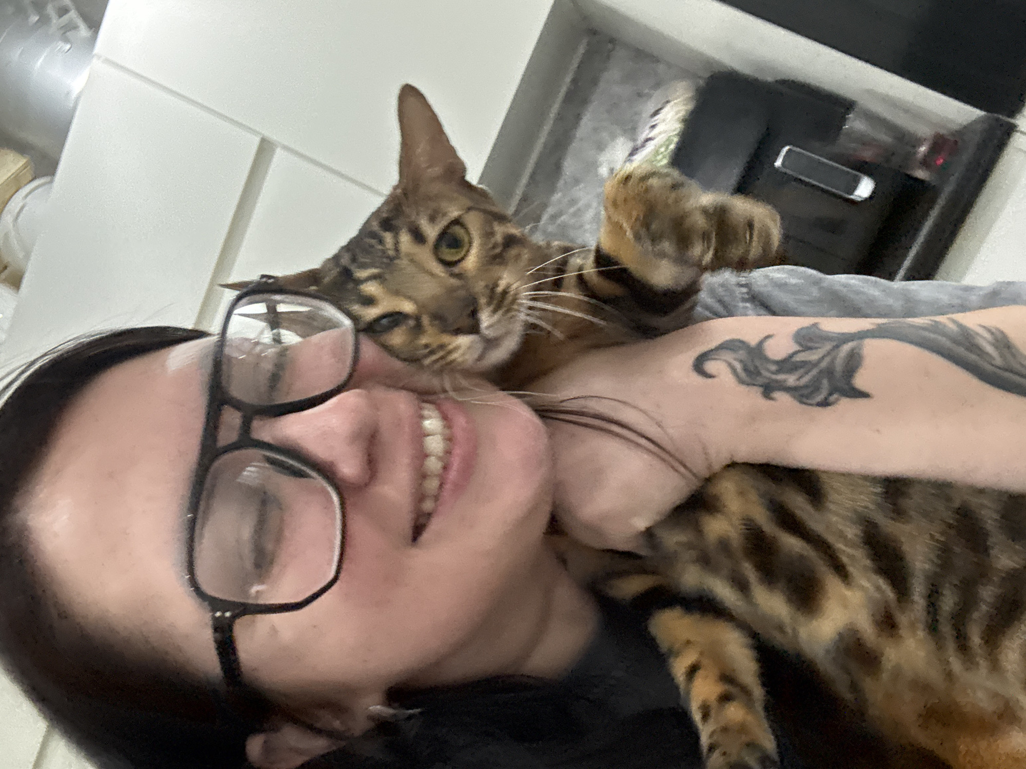 Morning routine with cats and skincare captured in 24 memories