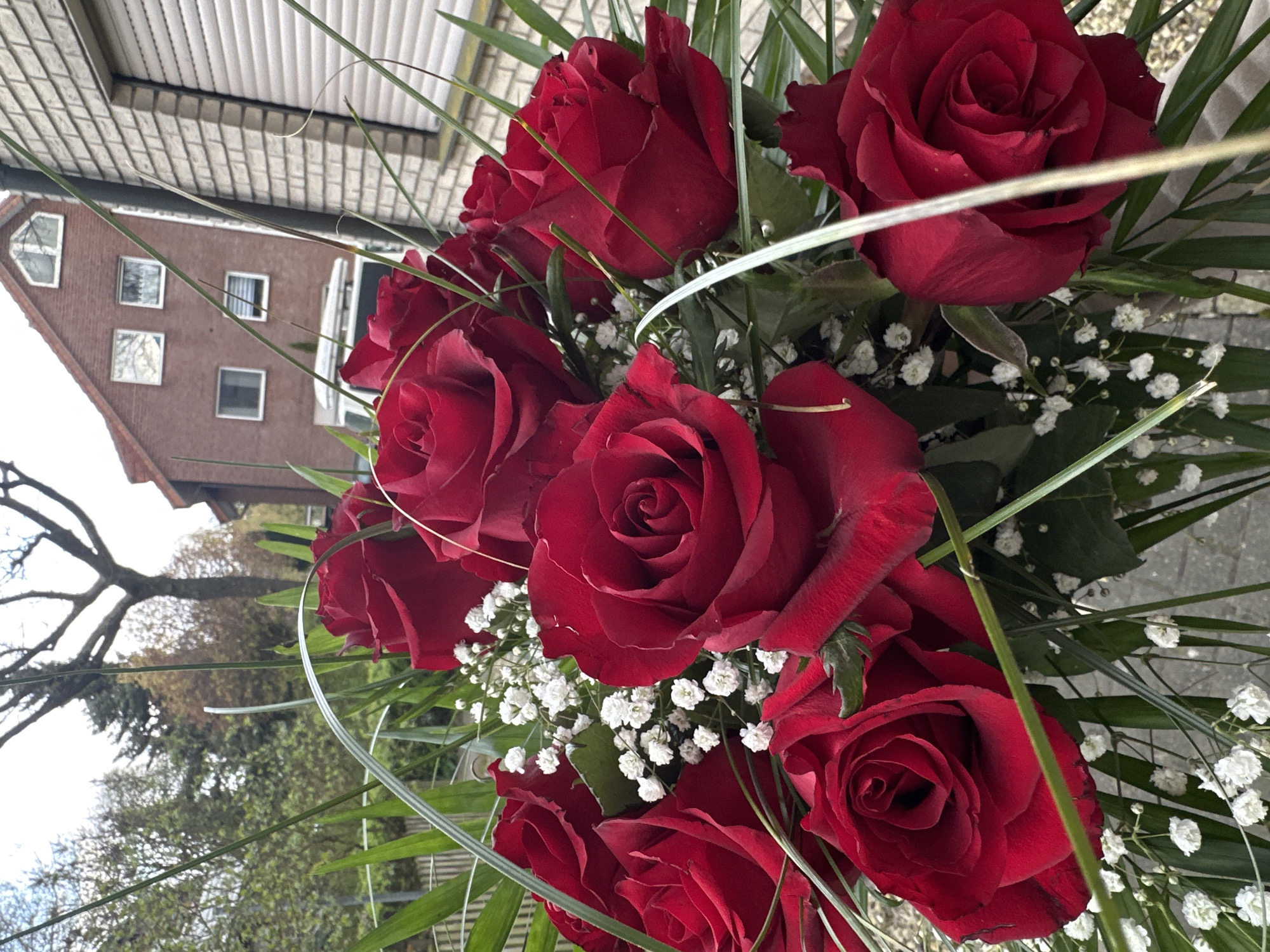 Red rose bouquet spotted in Melle, Germany