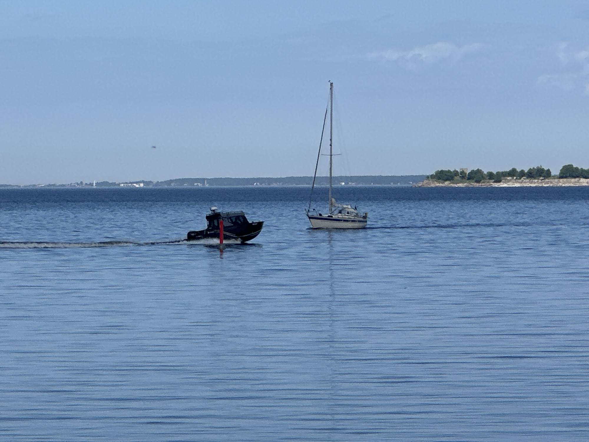 Summer scenes documented across Tallinn's waterfront and wildflower areas