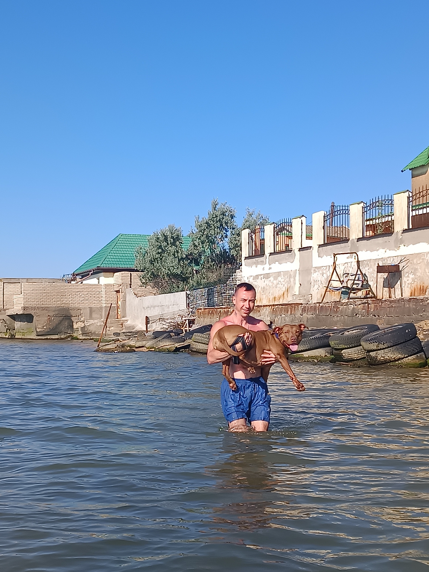 Dog day at the Black Sea shore in Zatoka, Ukraine