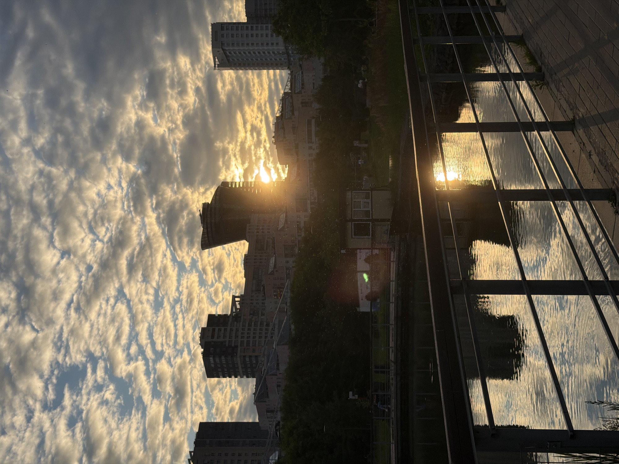 Urban park wildlife and golden-hour skylines, all in one session