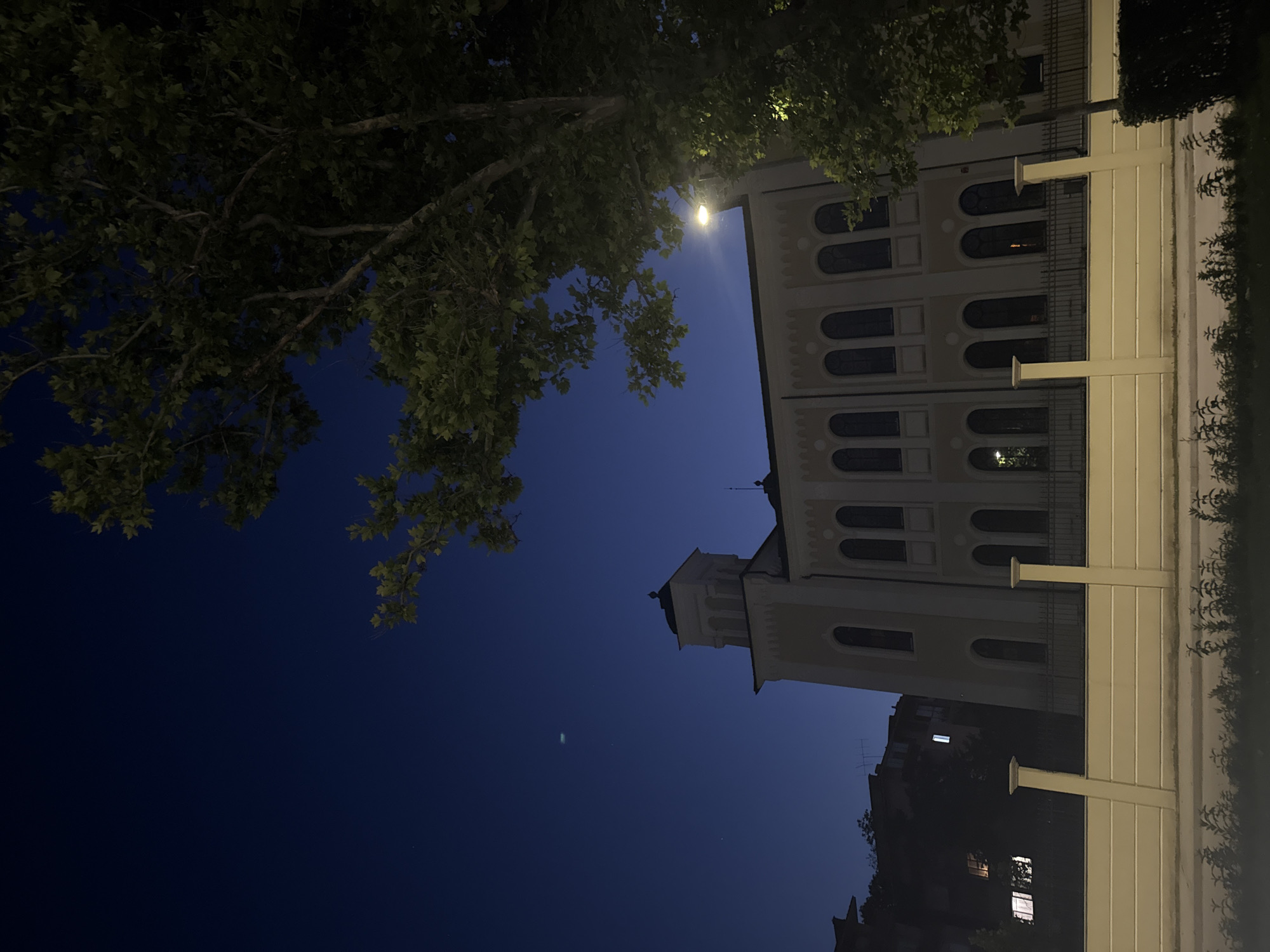Vidin's park and historic architecture lit up at night