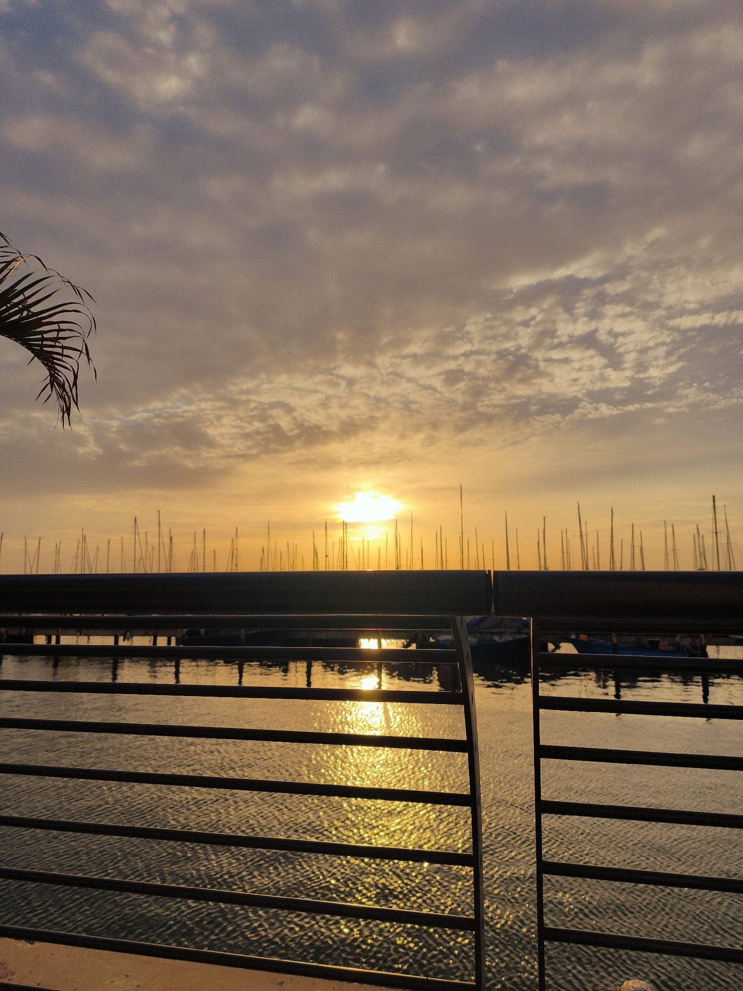 Family dining captured during sunset at Ashkelon marina