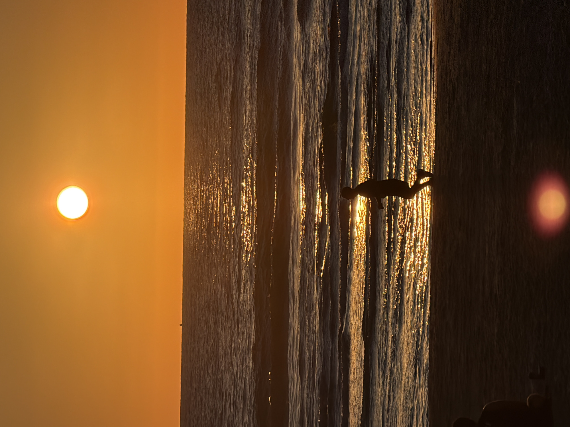 Vibrant sunset observed over Tel-Aviv Mediterranean coast