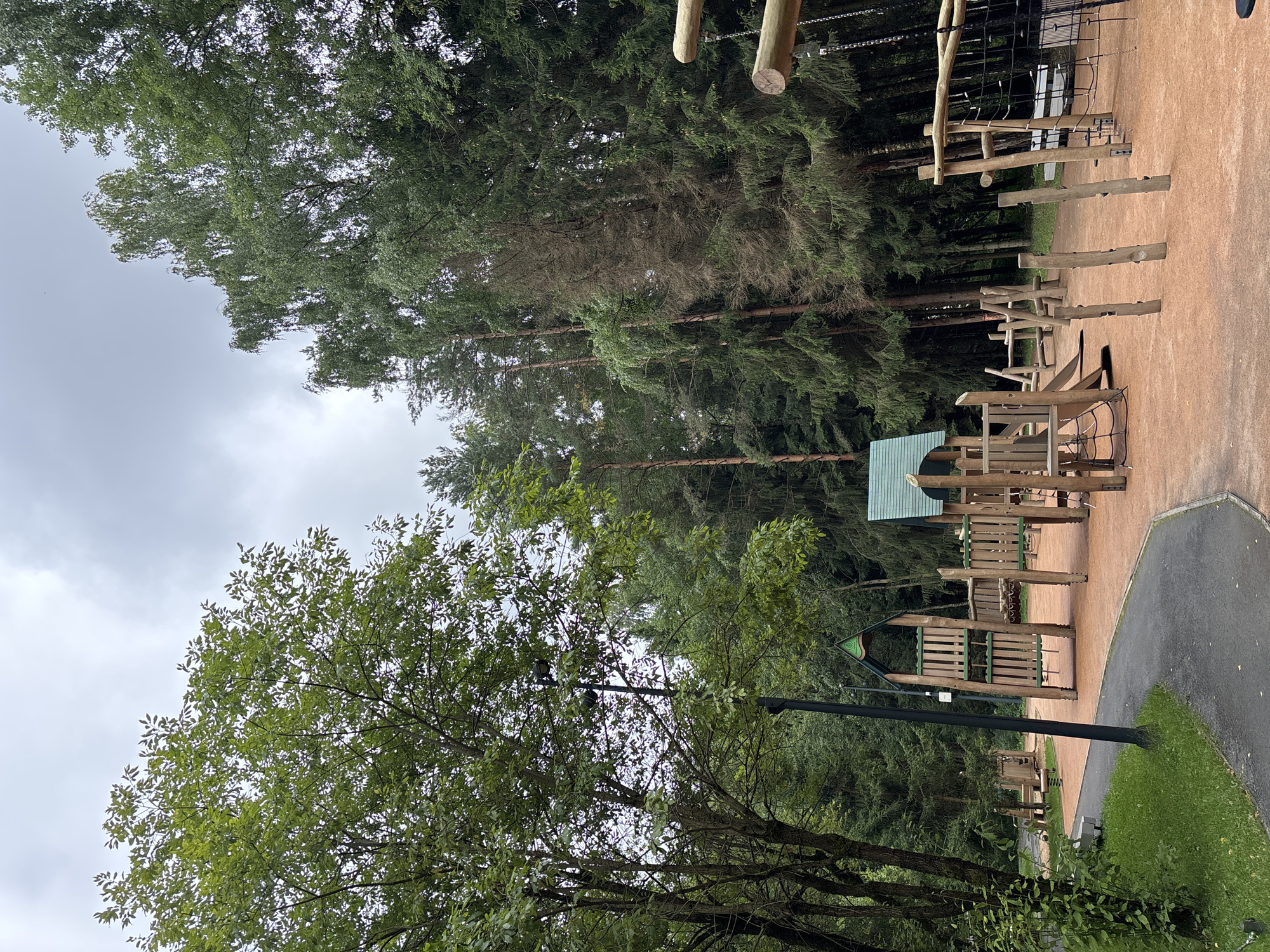 Morning stroll through a forested park in Pavlovskaya Sloboda
