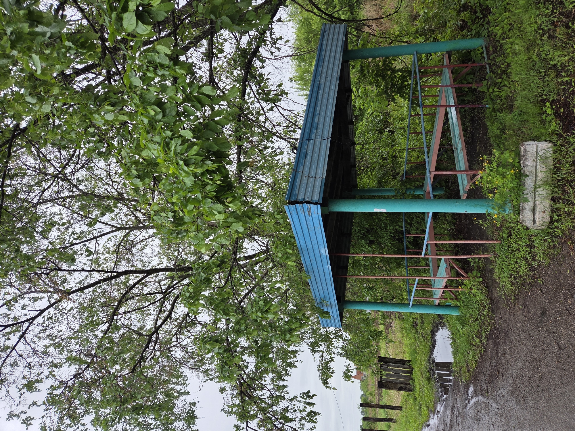 Family documents rainy day journey through rural Pronkino, Russia