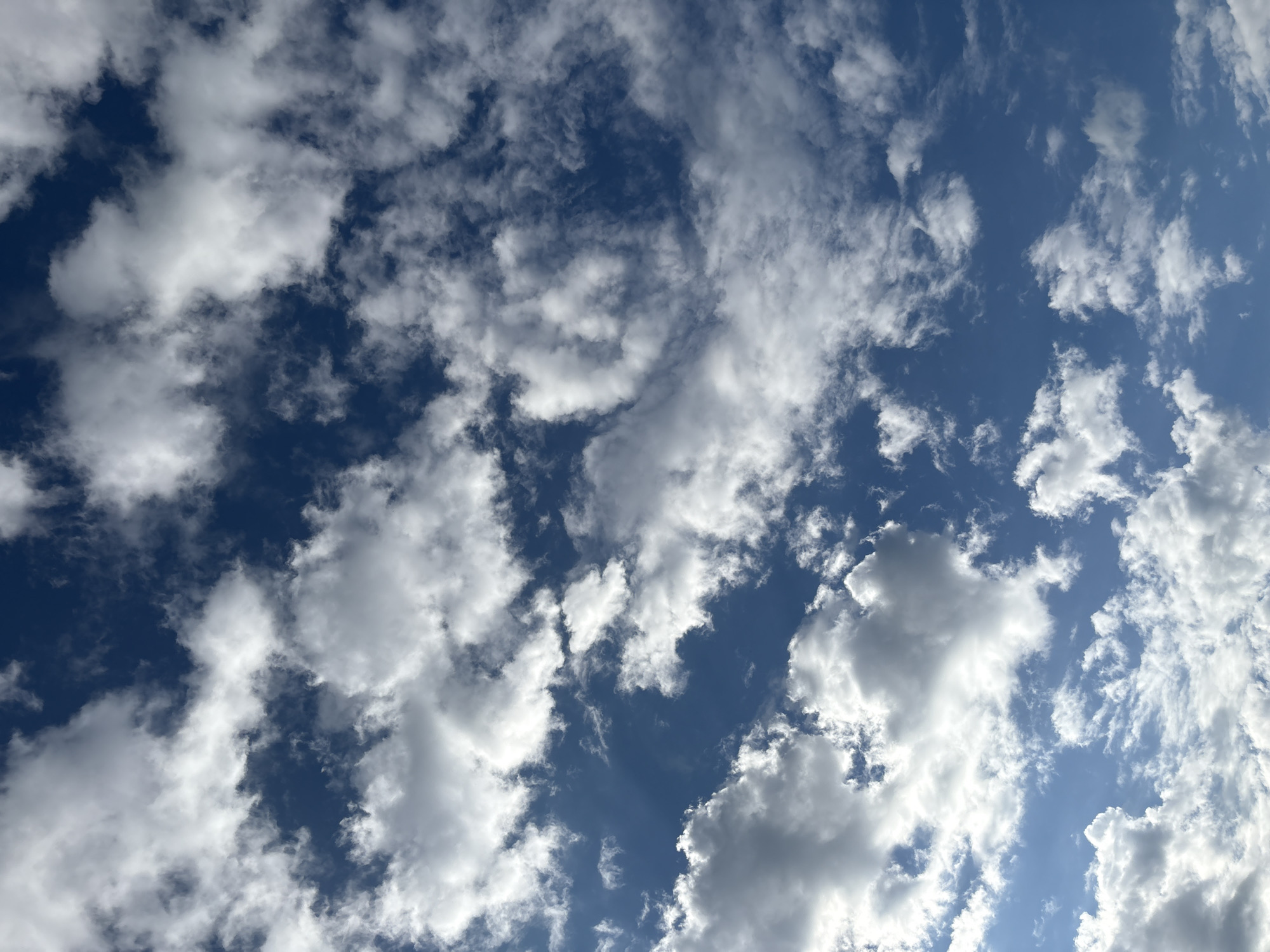 Tabby cat lounges on outdoor wooden structure under a partly cloudy sky