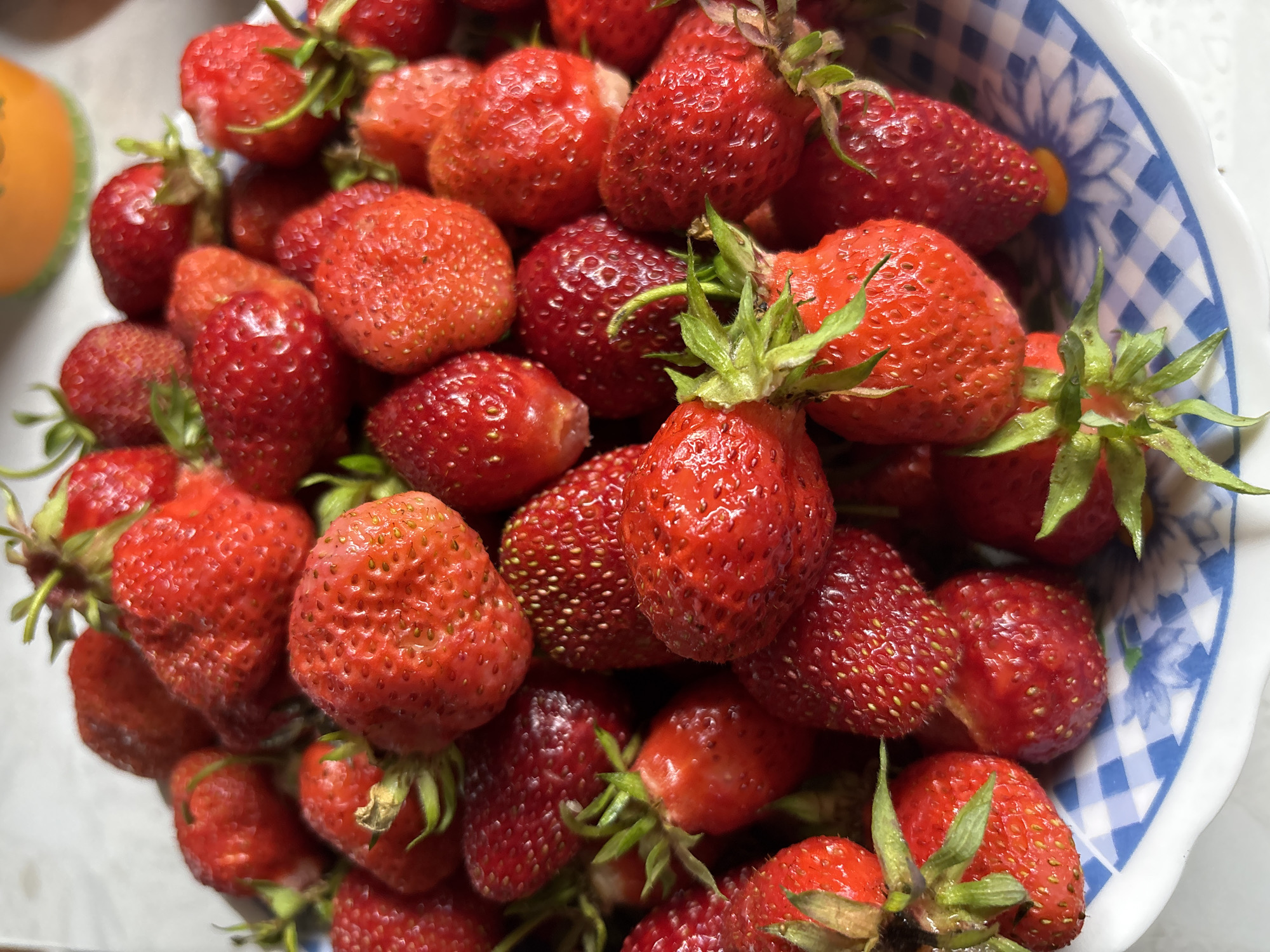 Fresh strawberries in a checkered bowl, Kordovo Russia