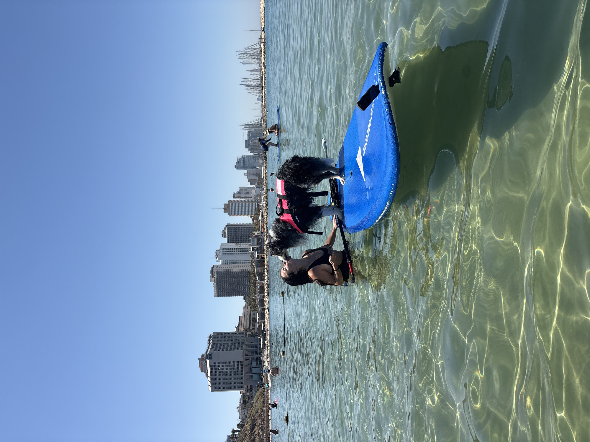 Morning beach activities captured along Tel Aviv coastline