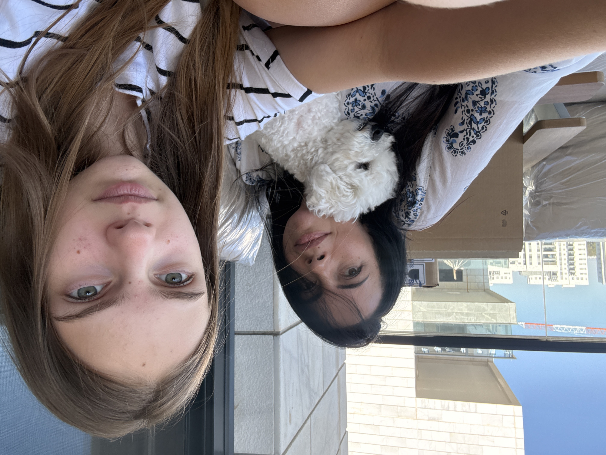 Lazy afternoon hangout with a fluffy white dog in Or Yehuda