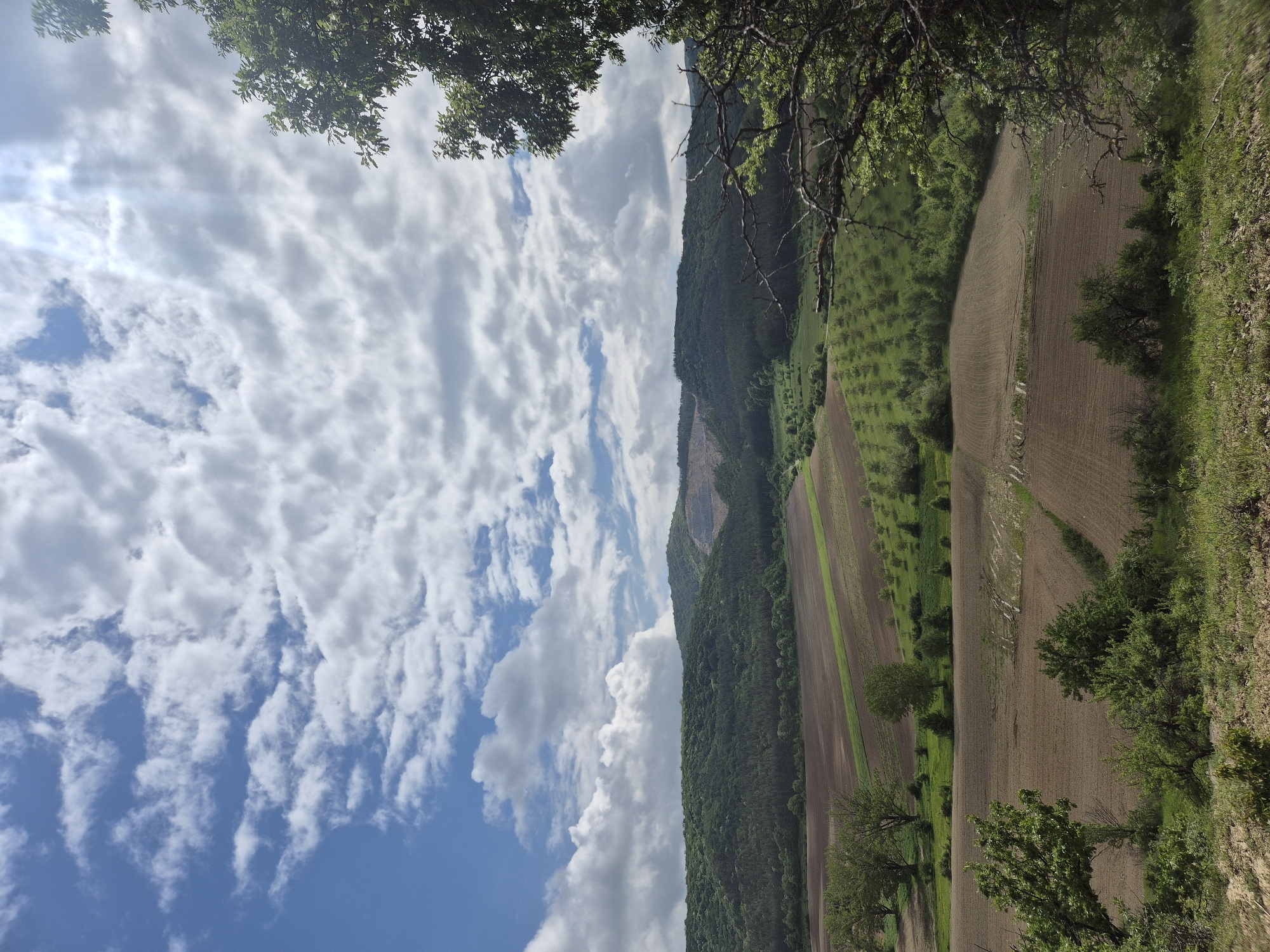 Rural landscapes documented near Kralevo, Bulgaria countryside