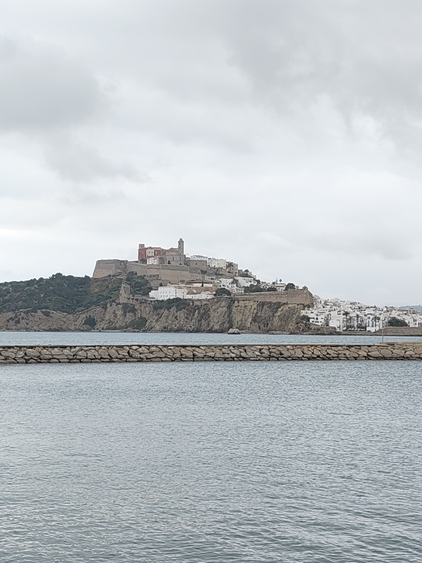 MSC Musica cruise ship docked in Ibiza harbor