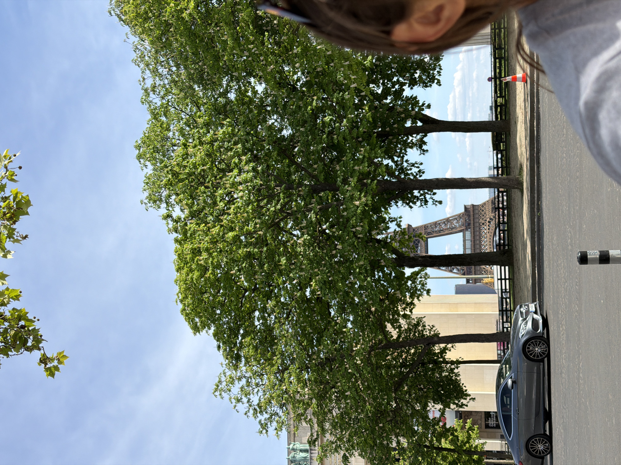 Paris street life captured in afternoon observations near Eiffel Tower