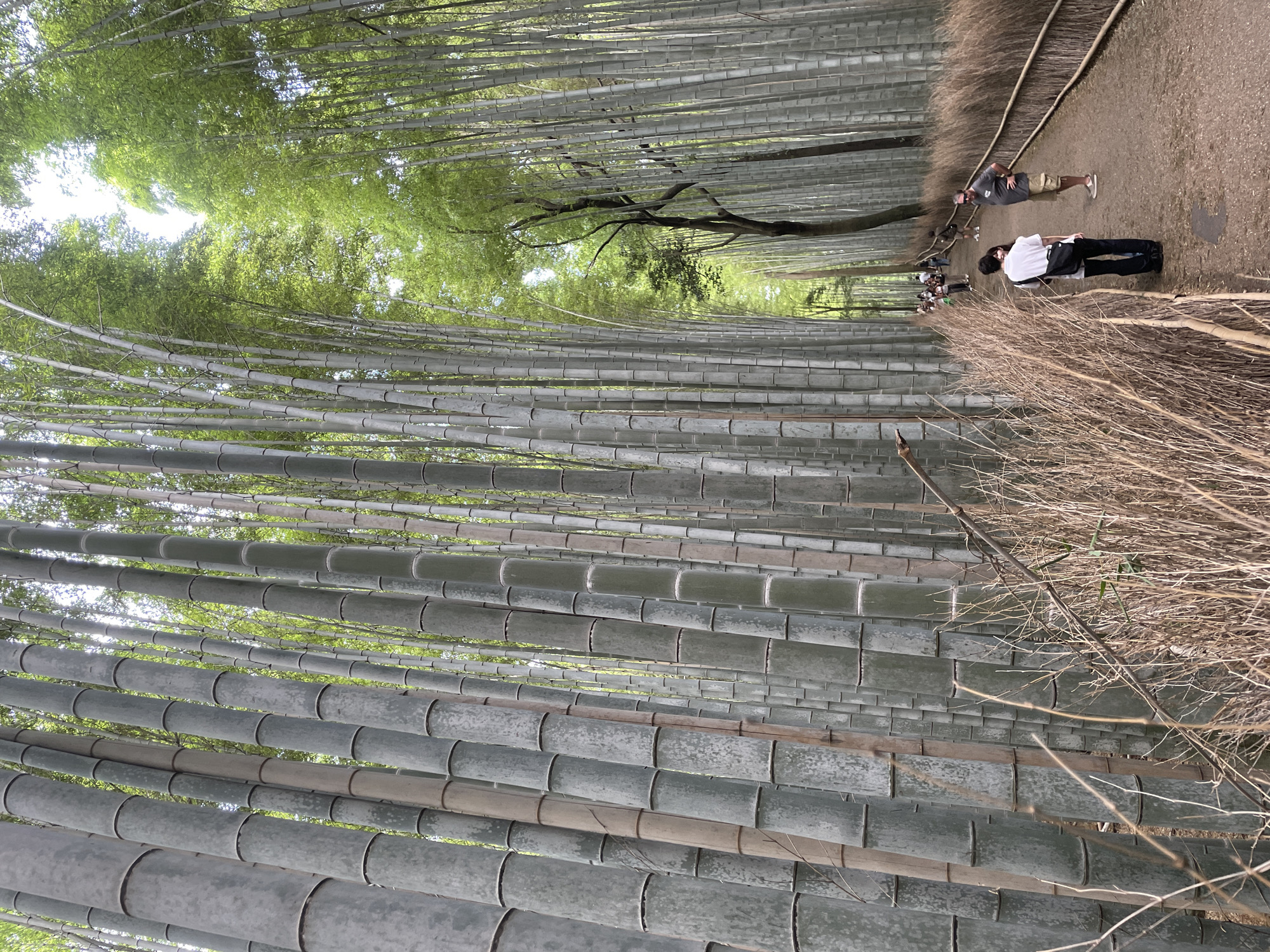 Kyoto, Japan