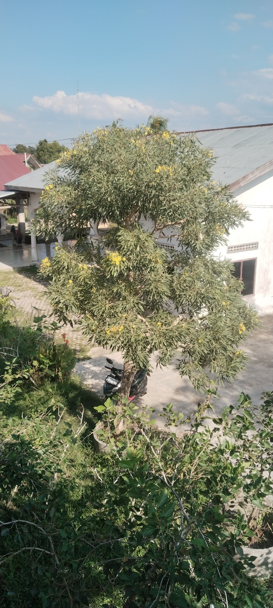 Event