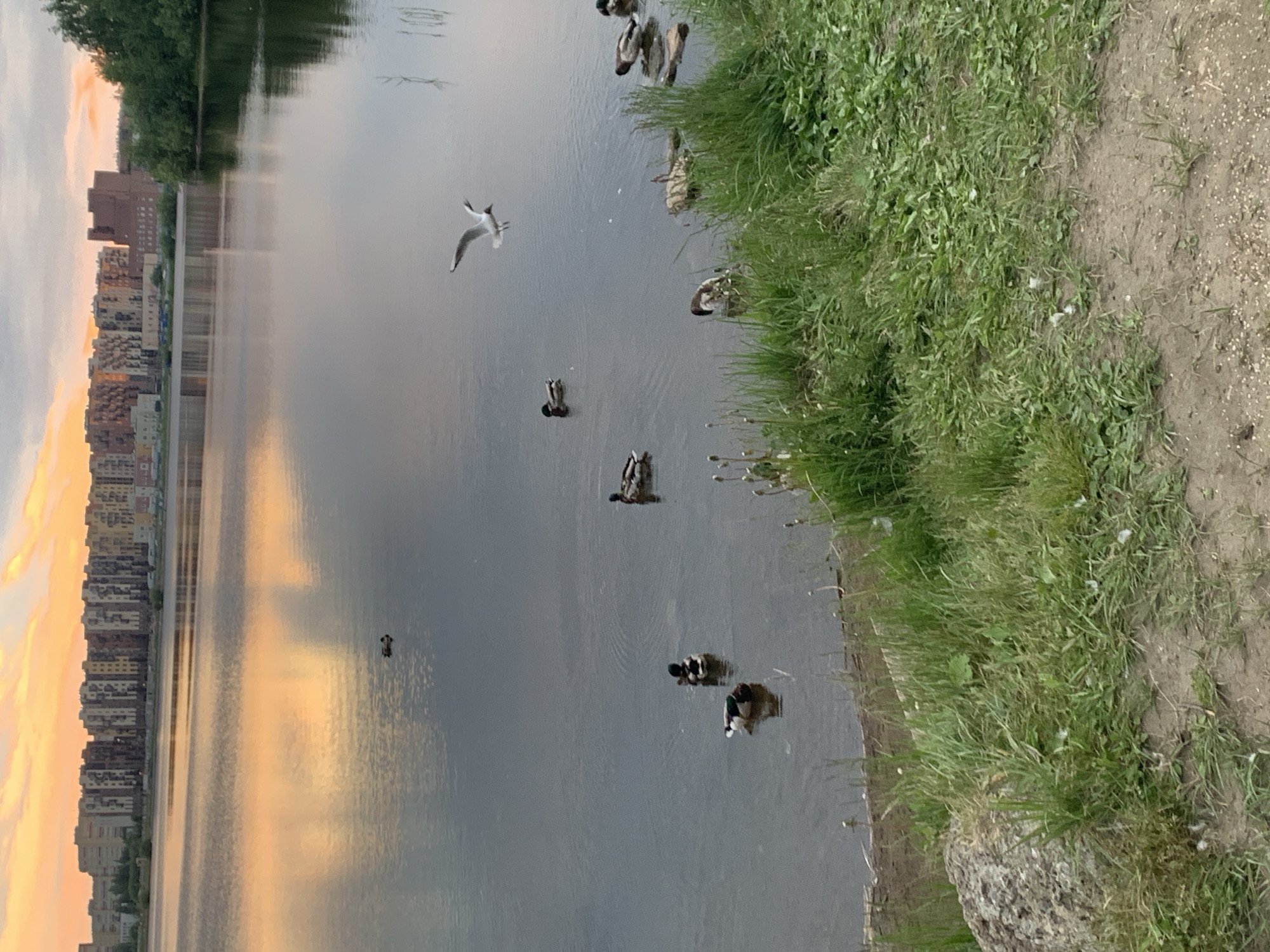 Sunset waterfront scene captured in Severodvinsk, Russia