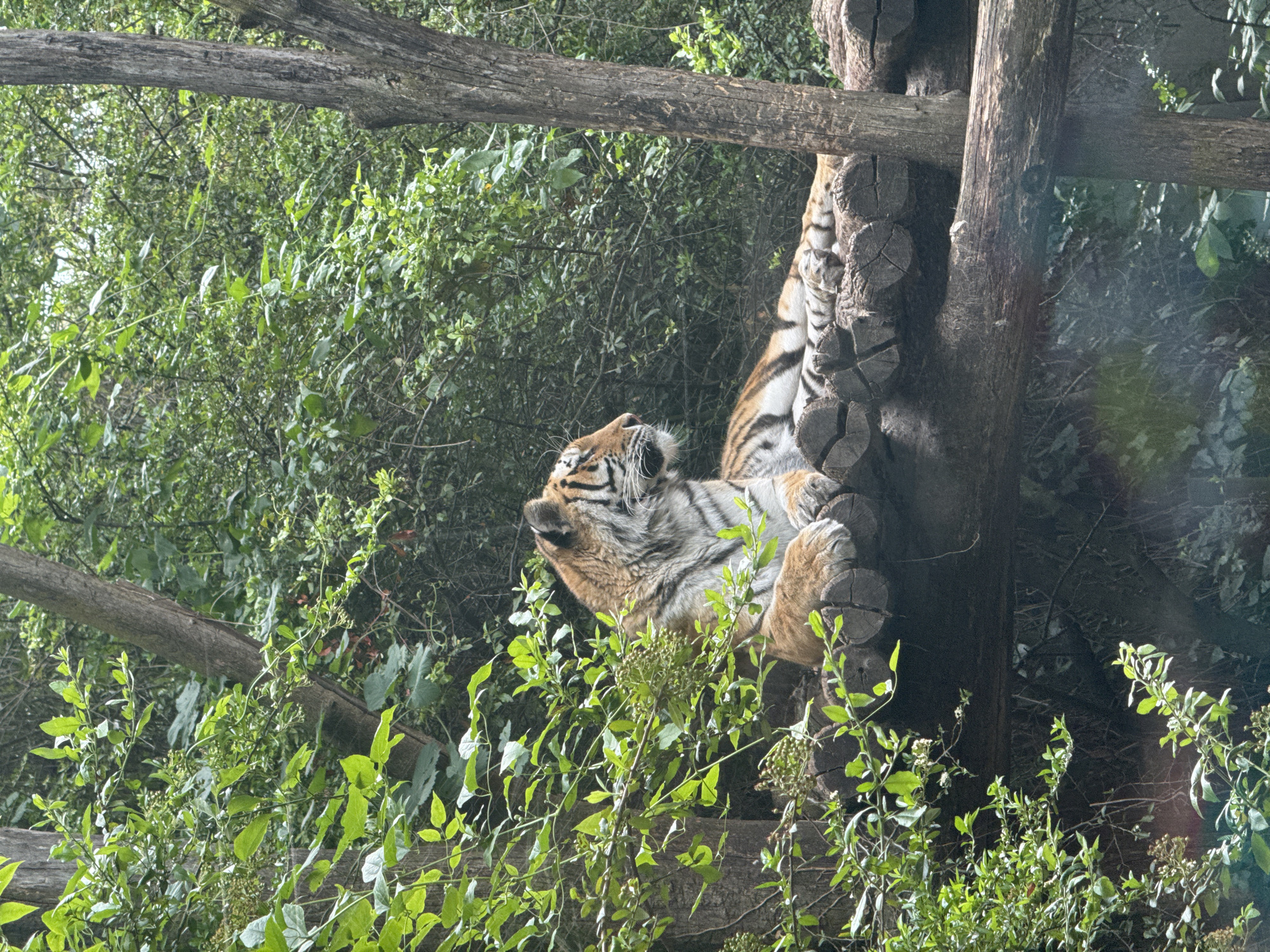 Visitors document animal exhibits at Vienna's Schönbrunn Zoo