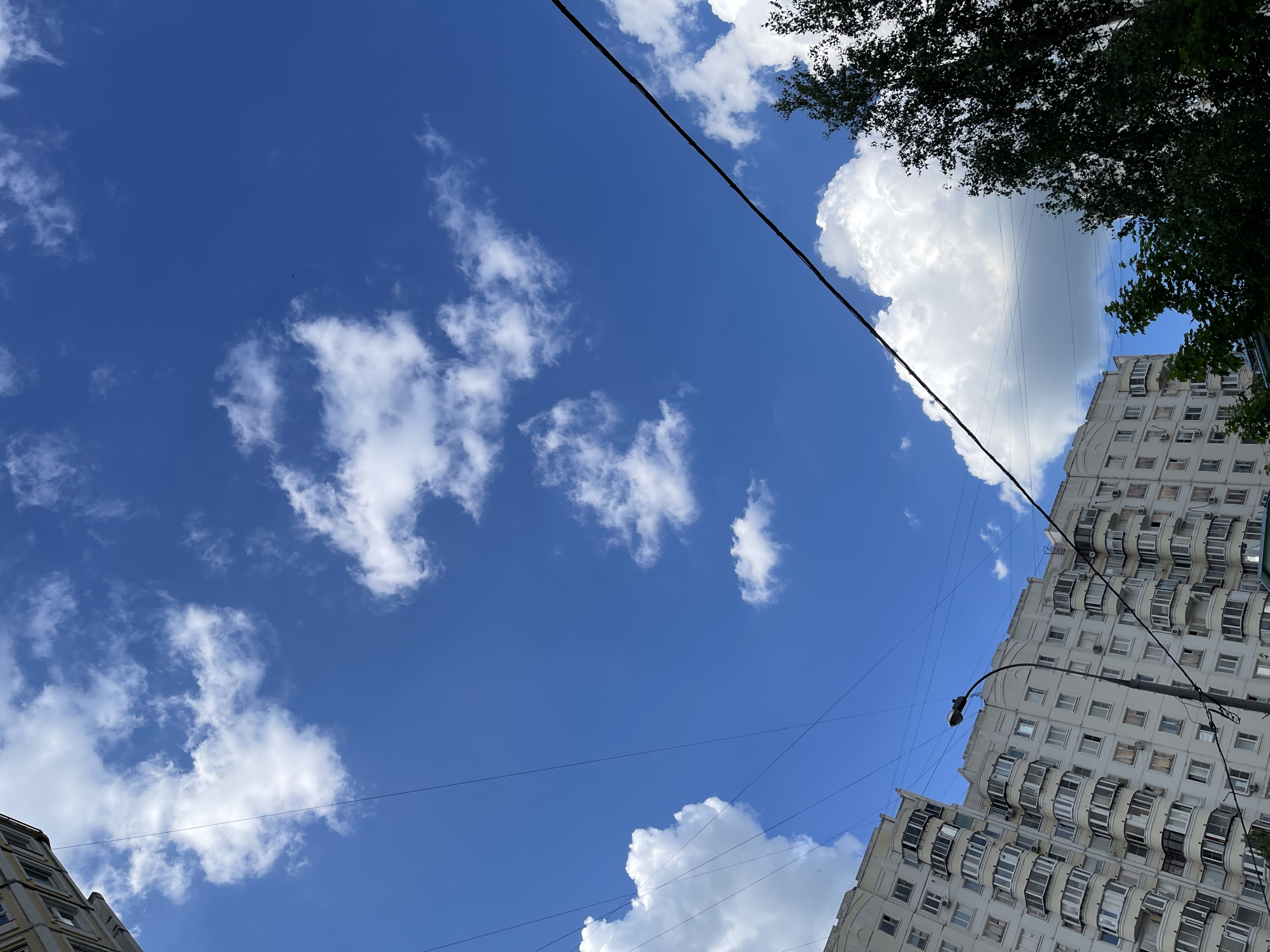 Moscow witnesses document sunny afternoon urban life, flowers, pedestrians