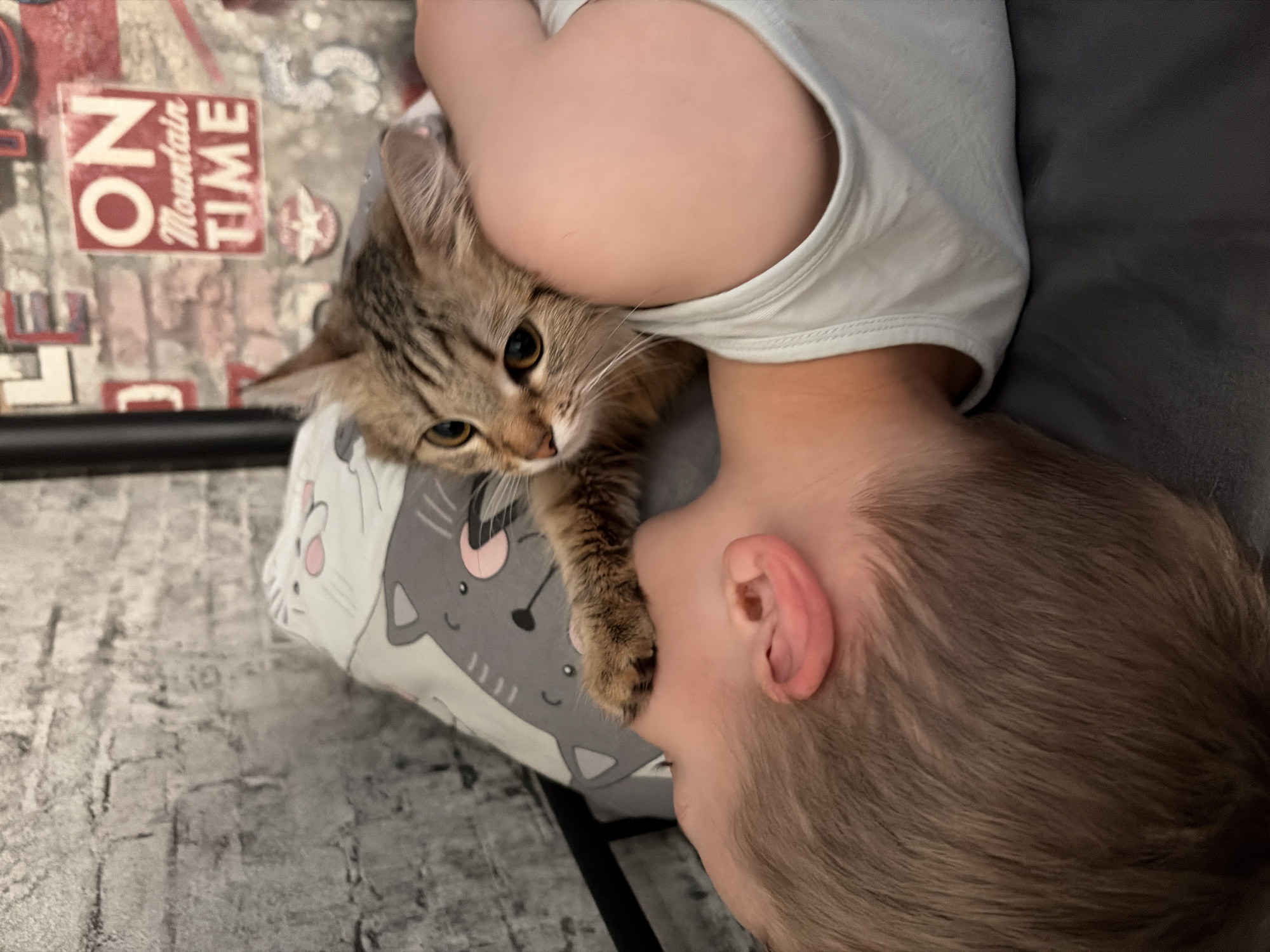 Child and cat share quiet moments in Chaikovsky home