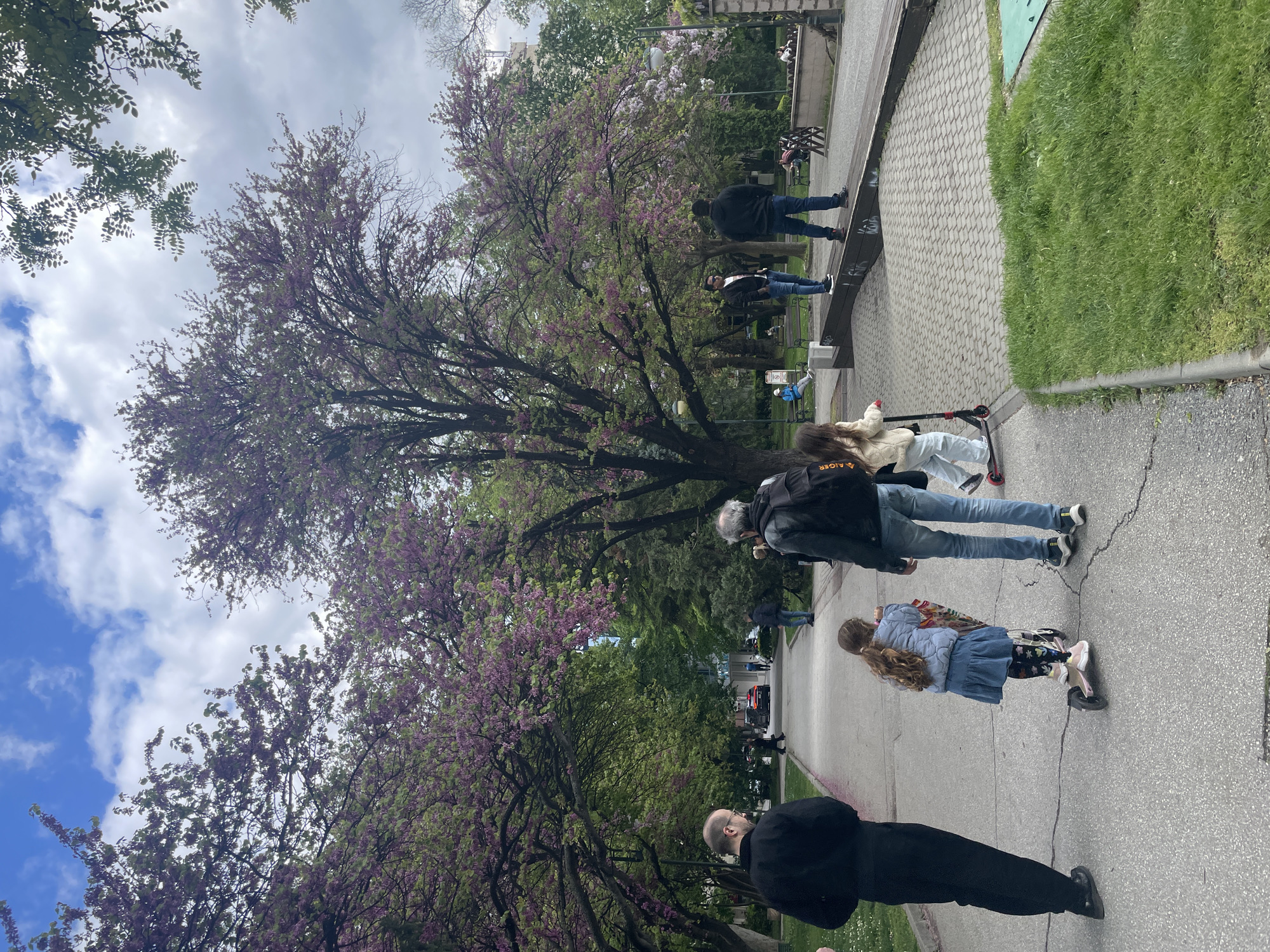 Spring day scenes captured across parks and streets in Plovdiv
