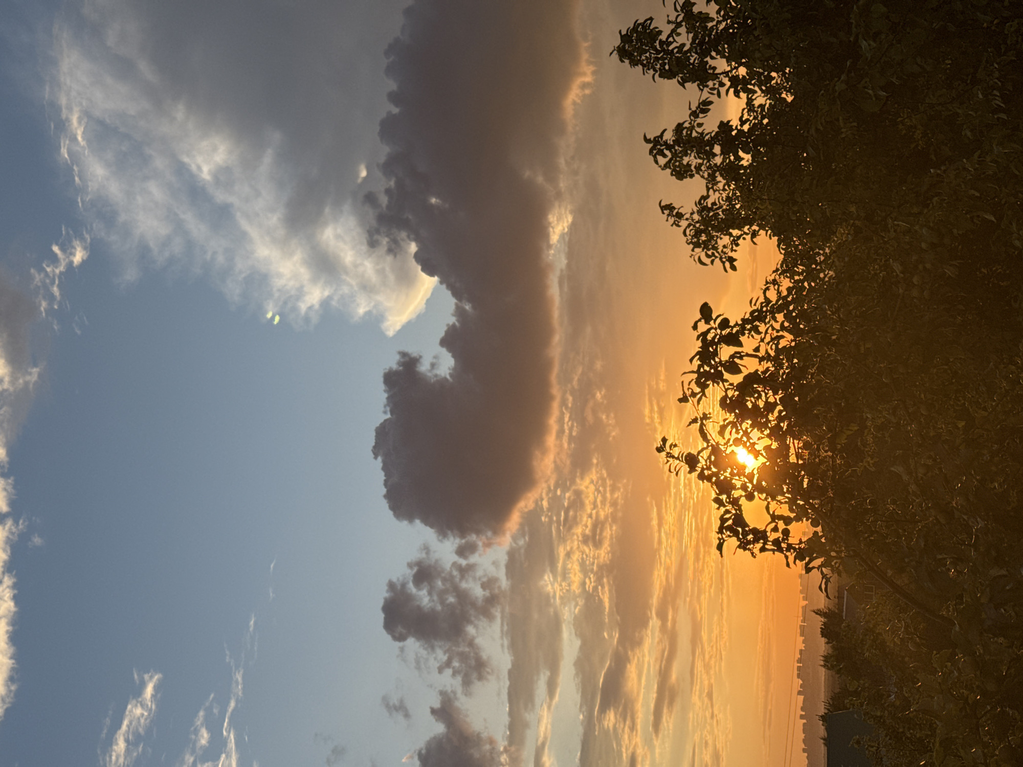 Golden hour skies, rainbows, and backyard nature at dusk
