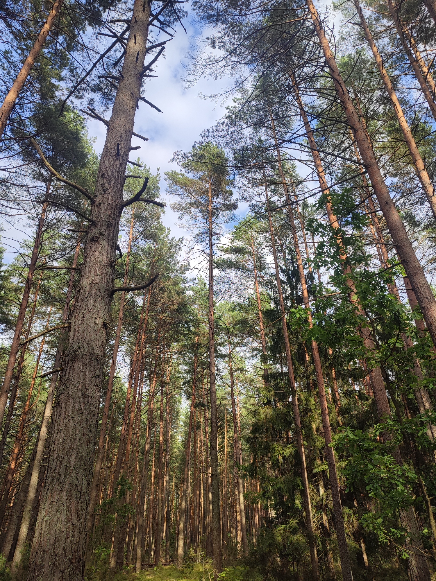 Варнянскі сельскі Савет, Belarus