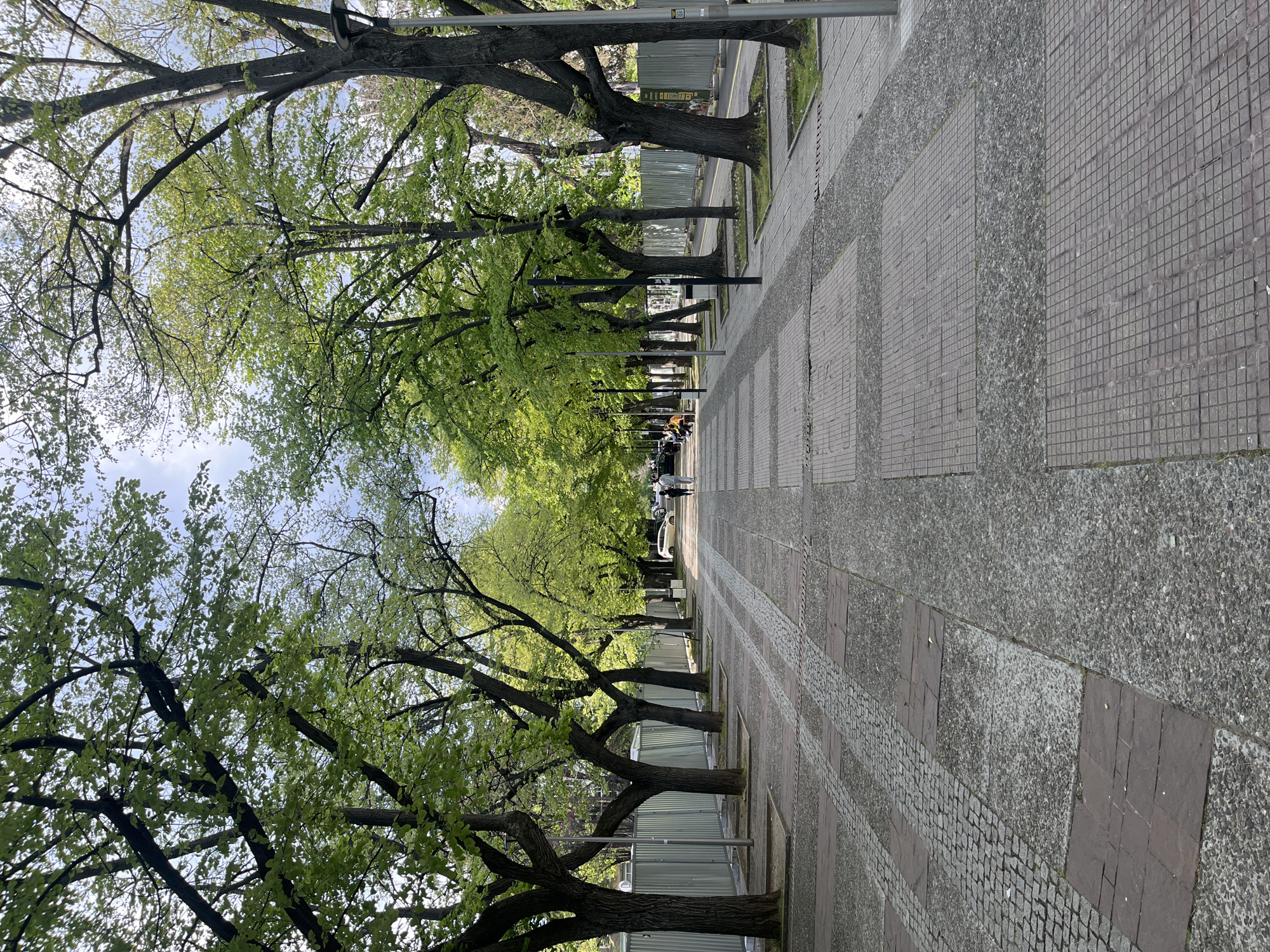 Afternoon stroll through downtown Stara Zagora captured in photos