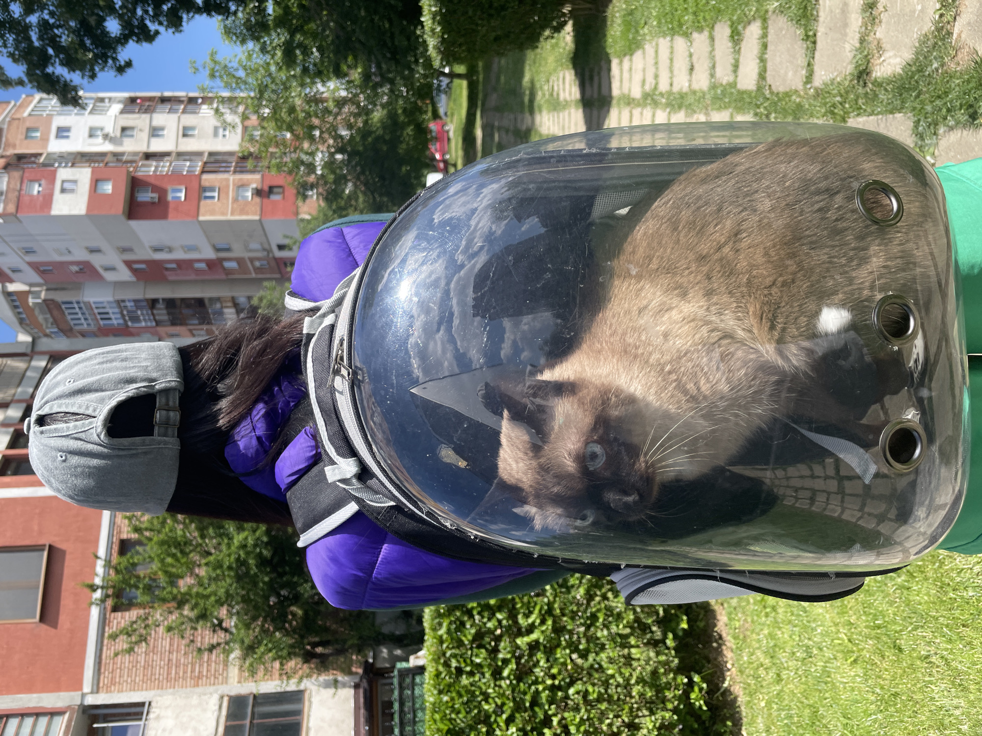 Woman carries Siamese cat in bubble backpack through Sofia