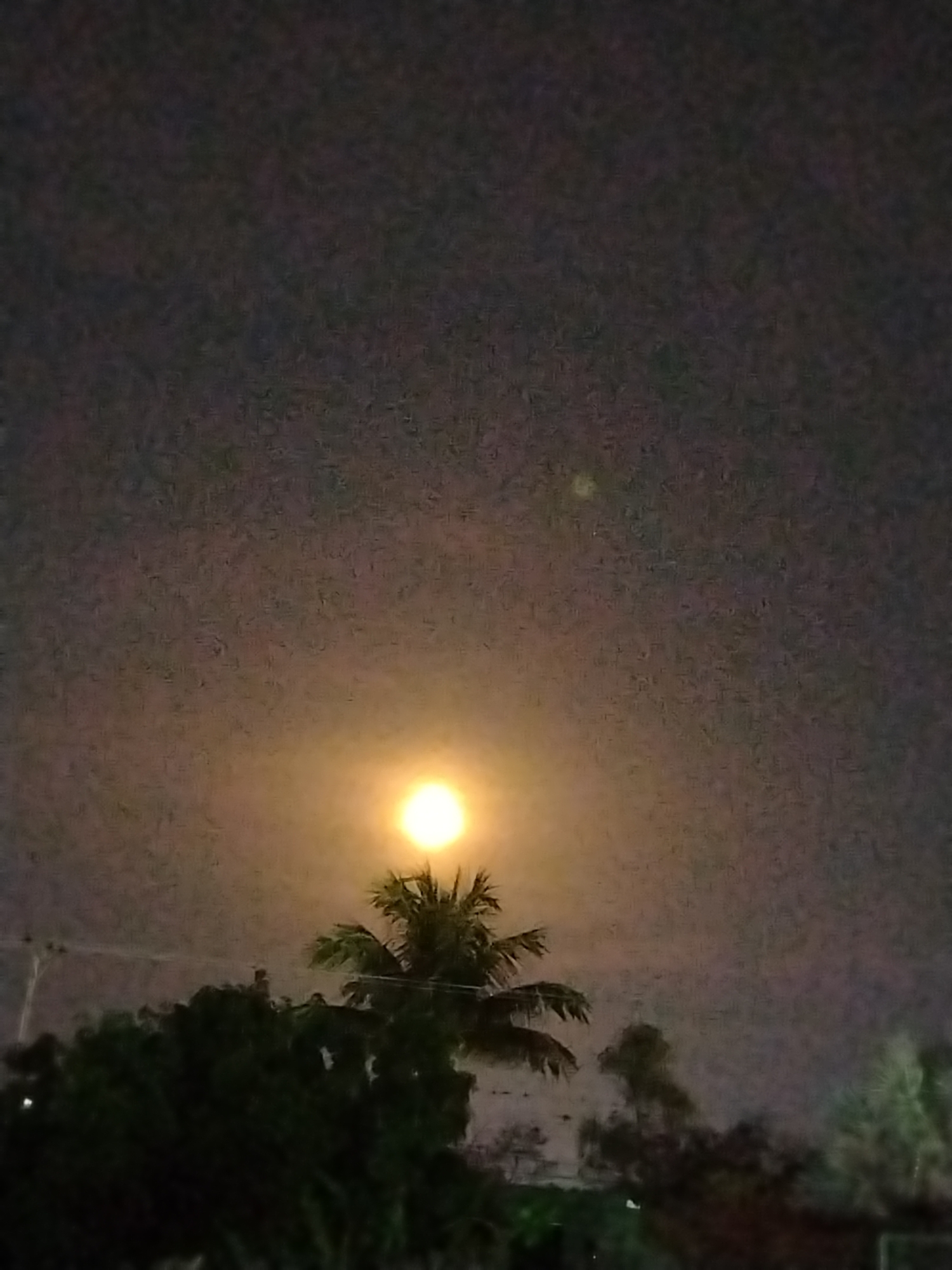 Tinaquillo resident documents full moon night at home