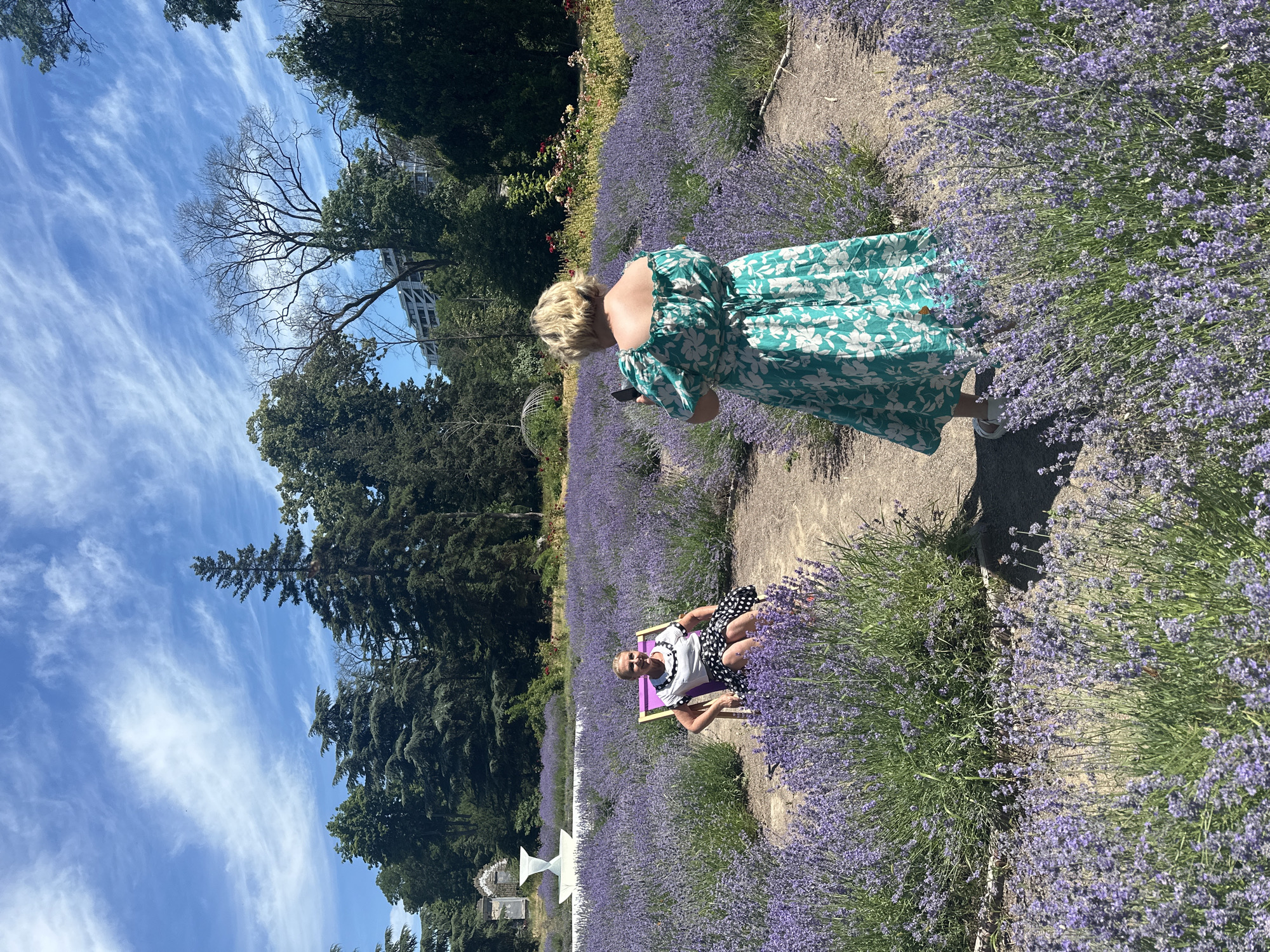 Odesa park and lavender garden on a summer morning