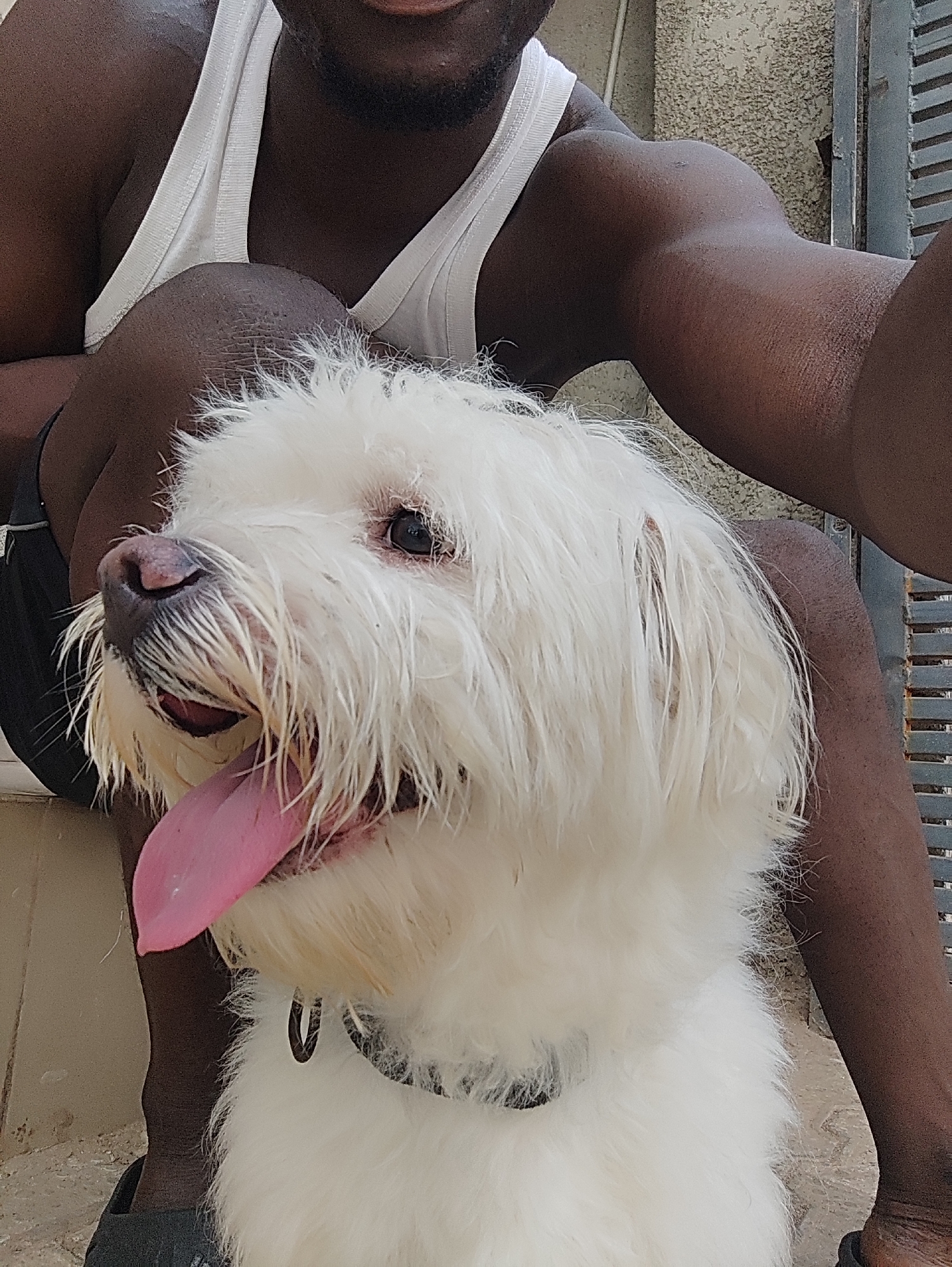 Man and white dog captured in casual moments, Abuja