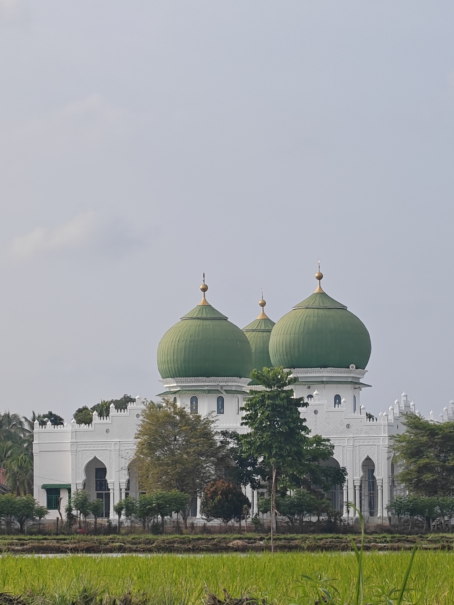 Village life in rural Aceh — mosque, volleyball, and rice paddies