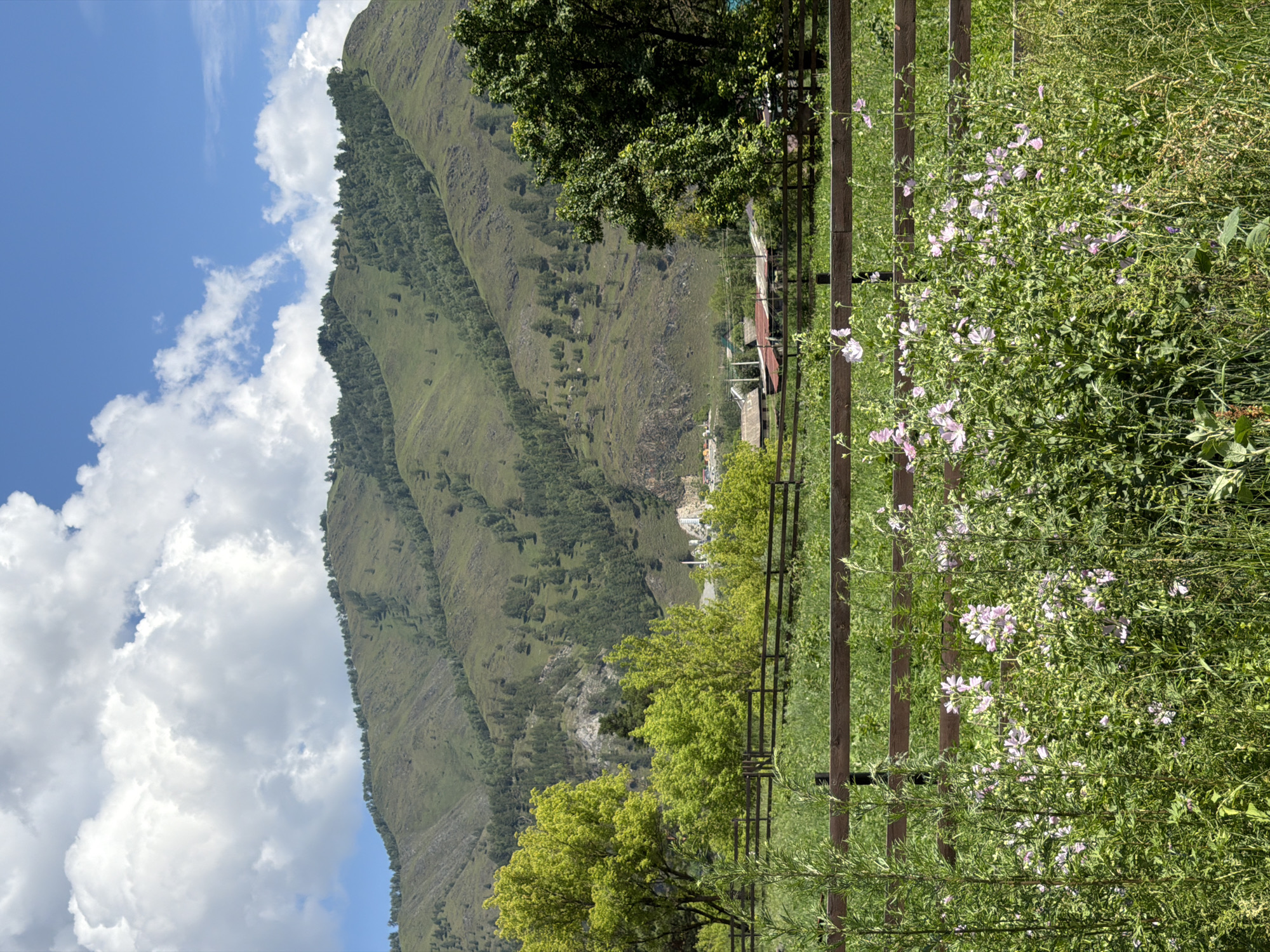 Wildflowers, rivers, and mountain views in rural Anos, Russia