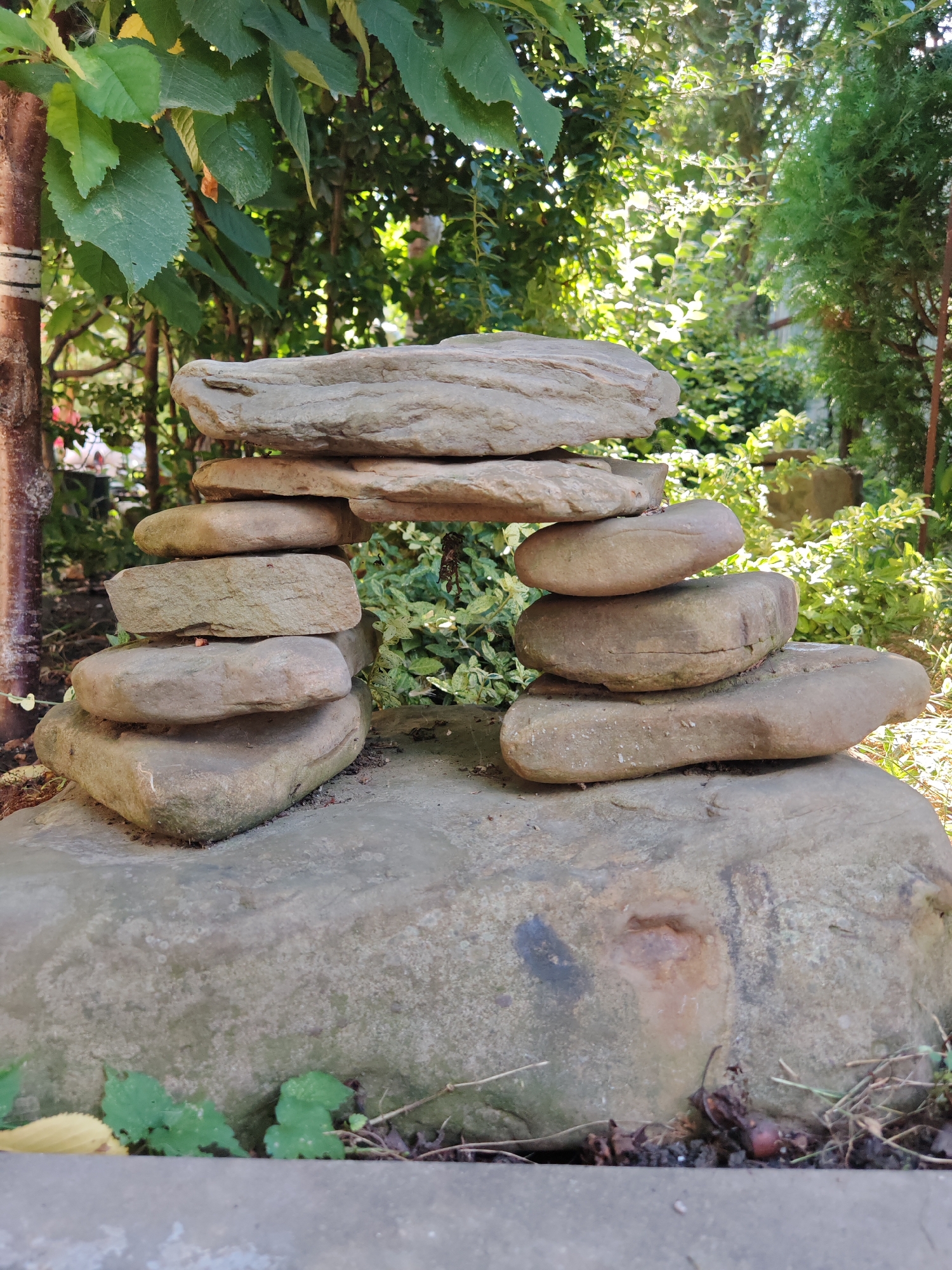 Ornate backyard garden in Oktyabrskiy, stones, vines, and a cat