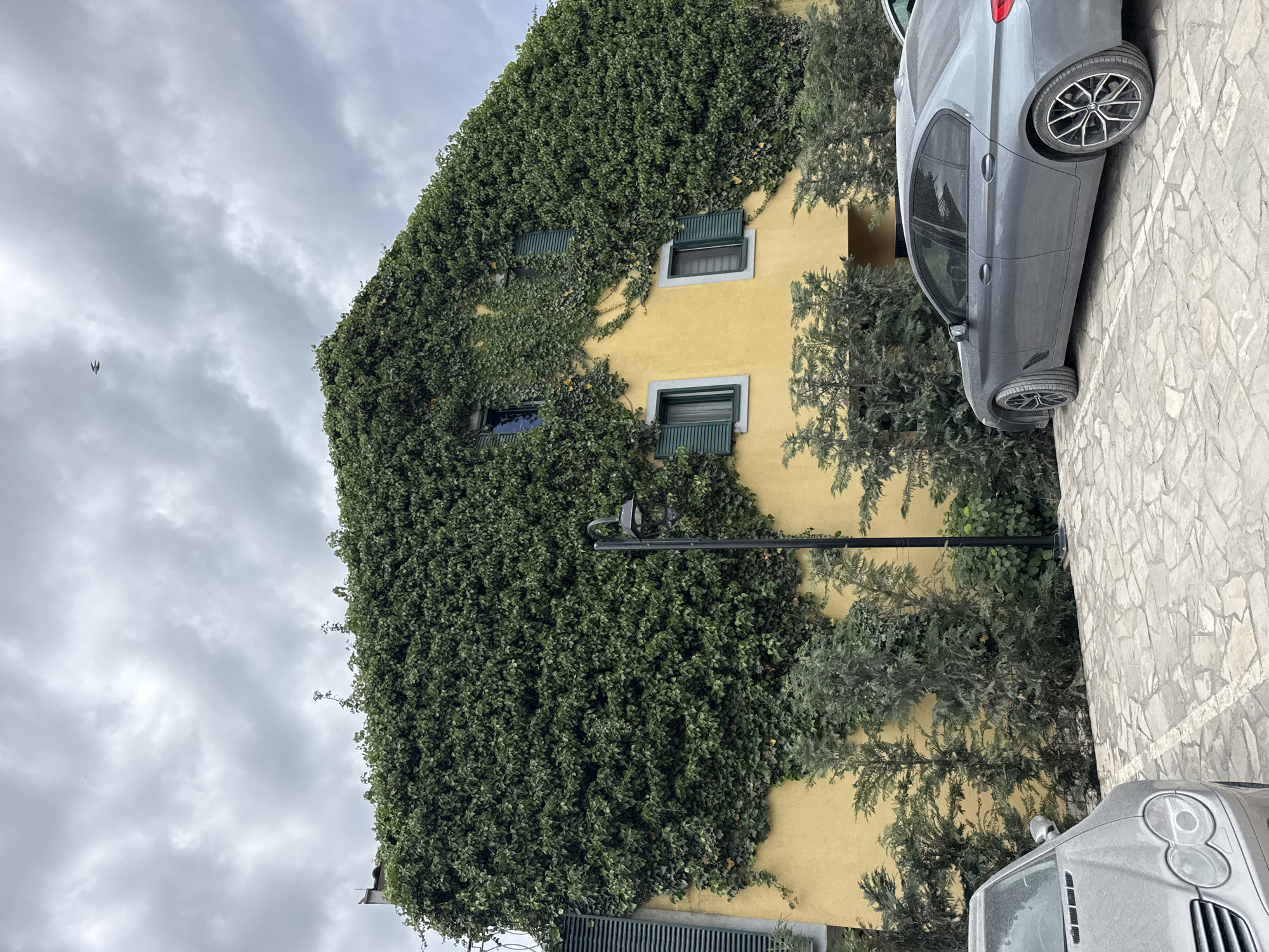 Morning walk through residential Lastva Grbaljska captures buildings, garden, dog