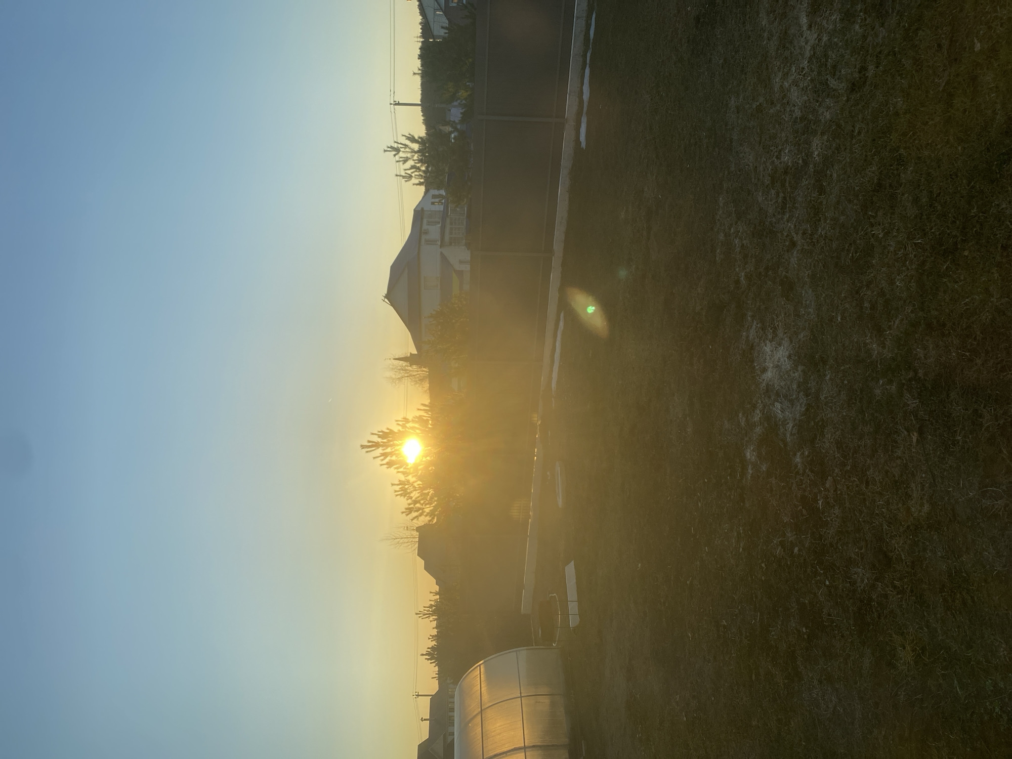 Sunset observed through trees in Chaikovsky, Russia
