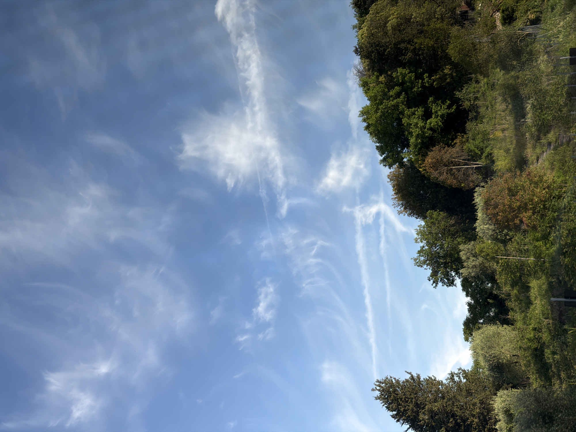 Morning sky with wispy clouds observed in Serravalle Pistoiese