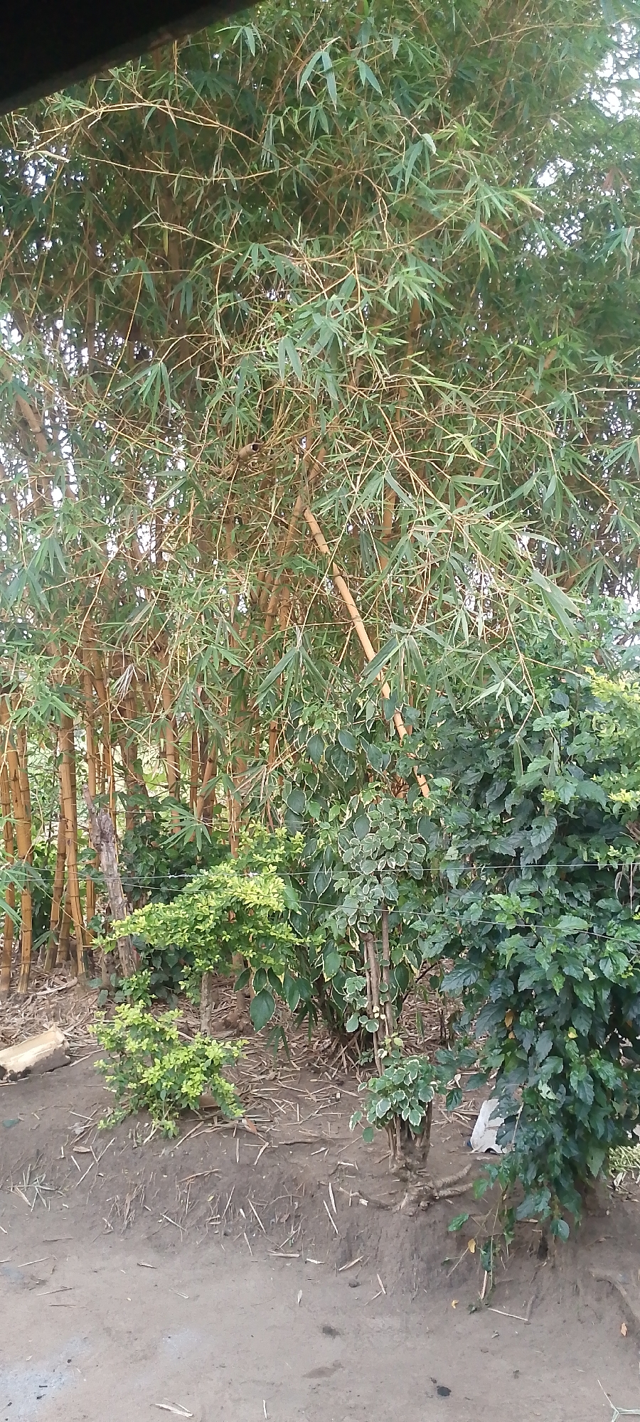 Kisumu, Kenya