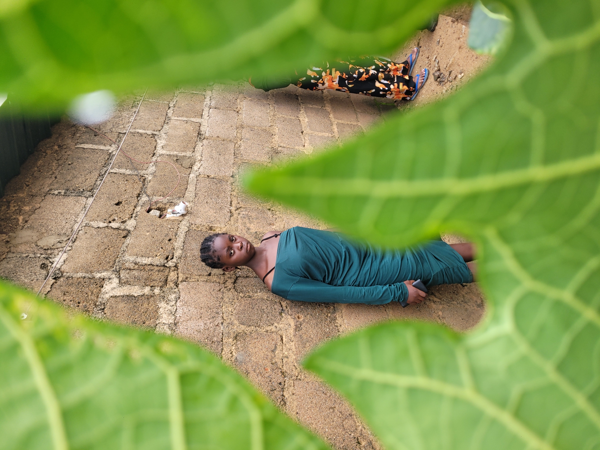 Foggy morning routines in a rural Nigerian compound