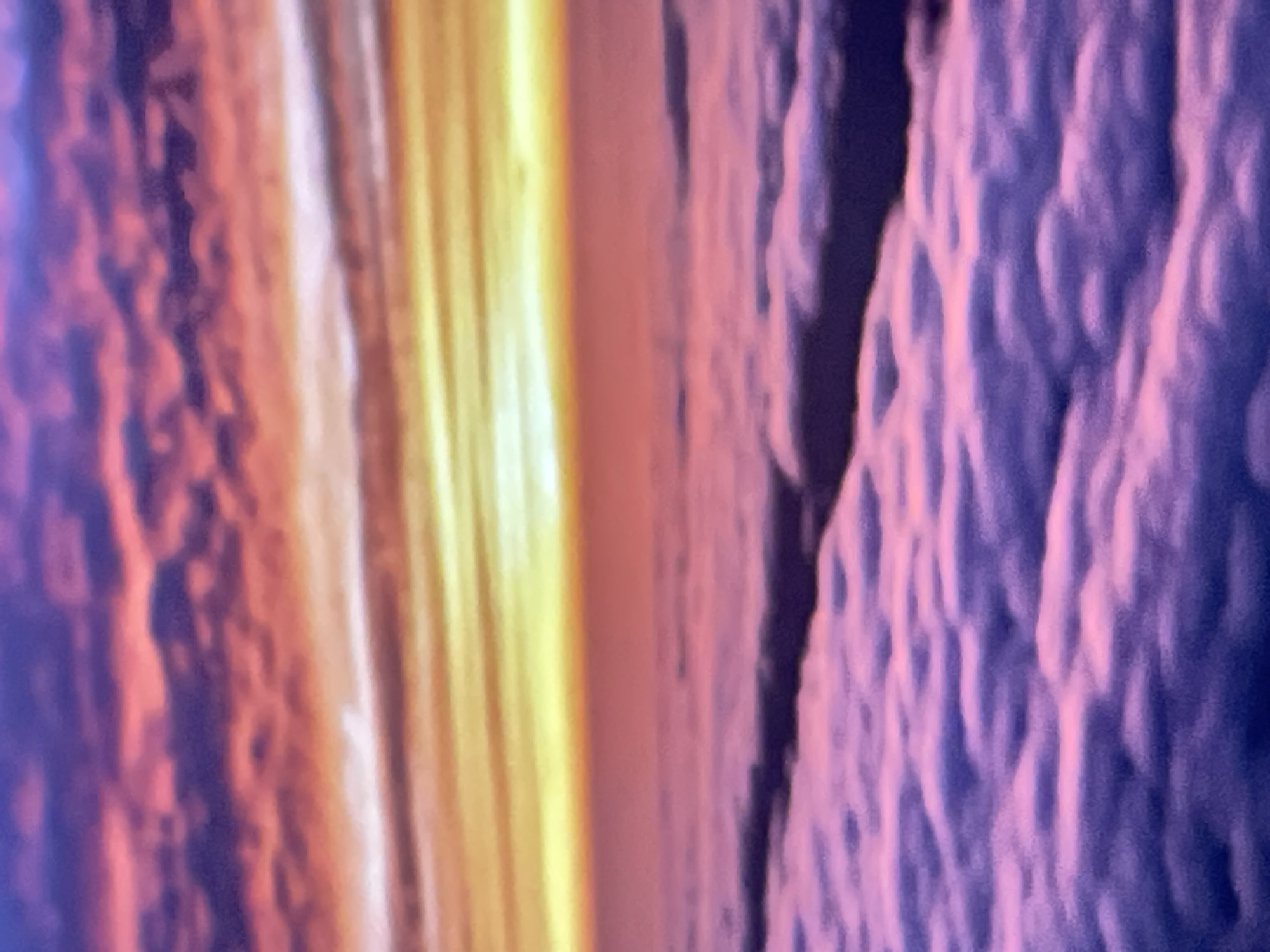 Cats, cherry blossoms, and space imagery from a Denpasar morning