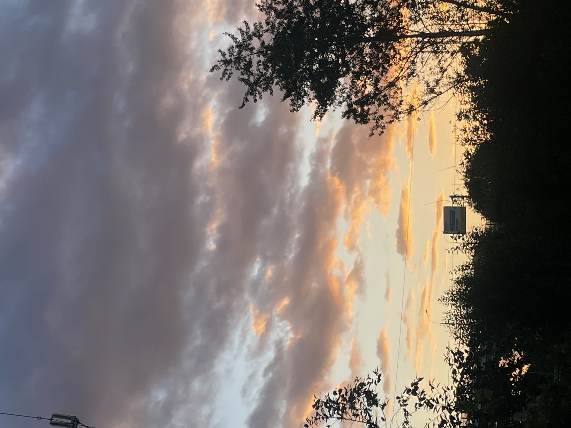 Stormy sunset sky over silhouetted trees near Khimki
